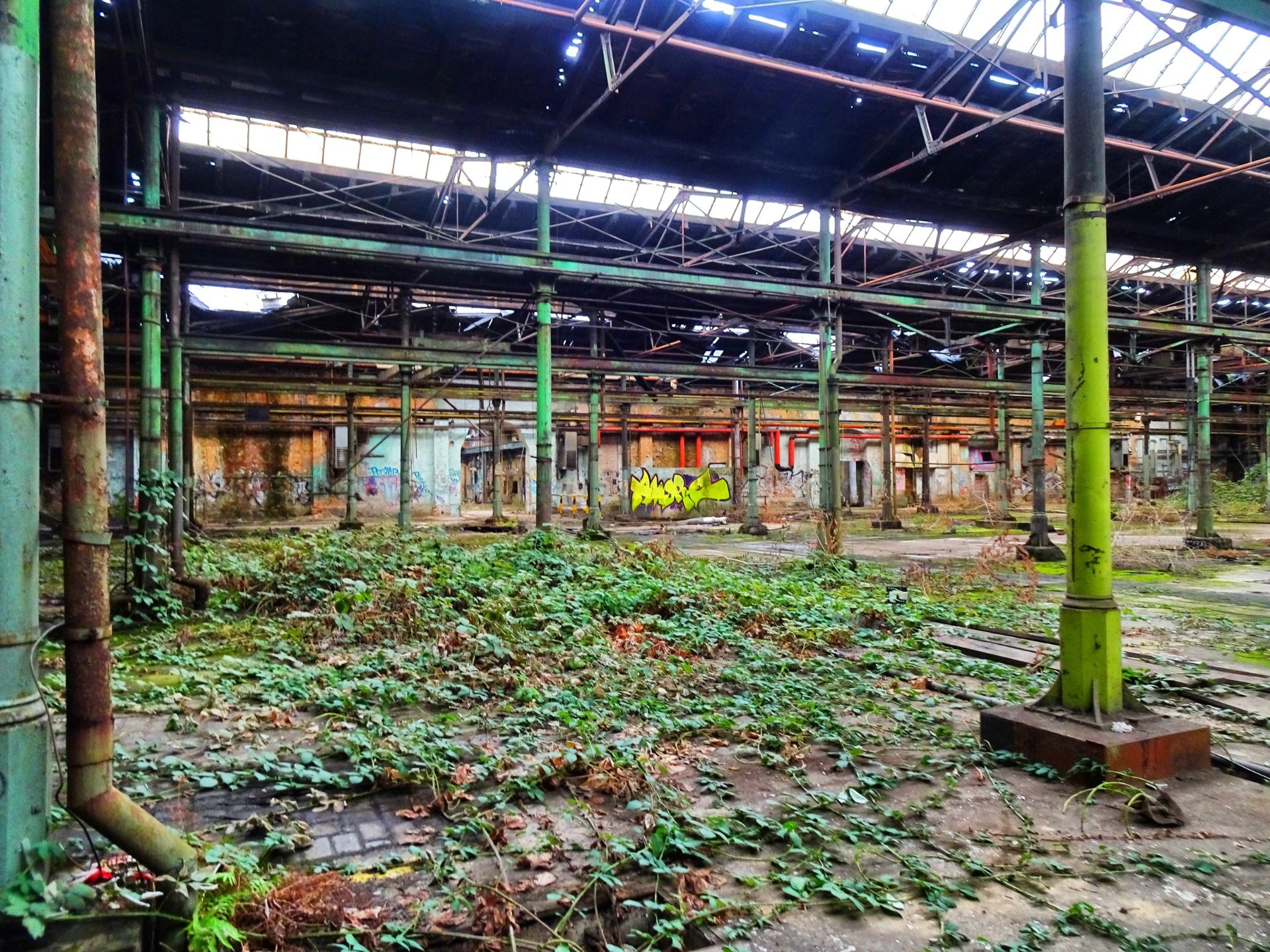 Seems like an indoor plantation