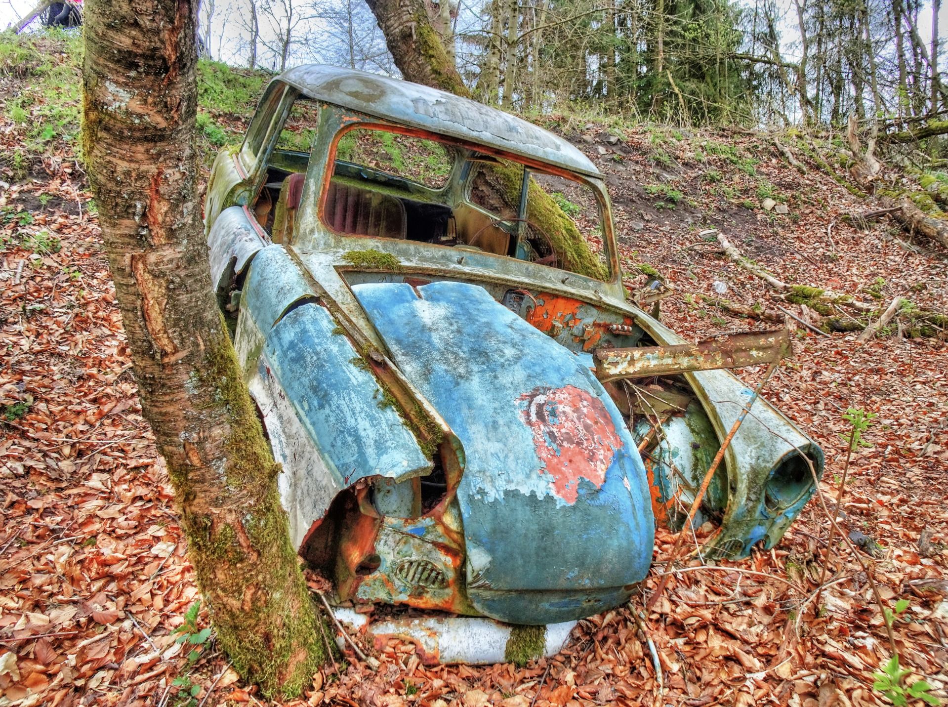 Behind the building this car from the 50ths is sunken into mother natures lap