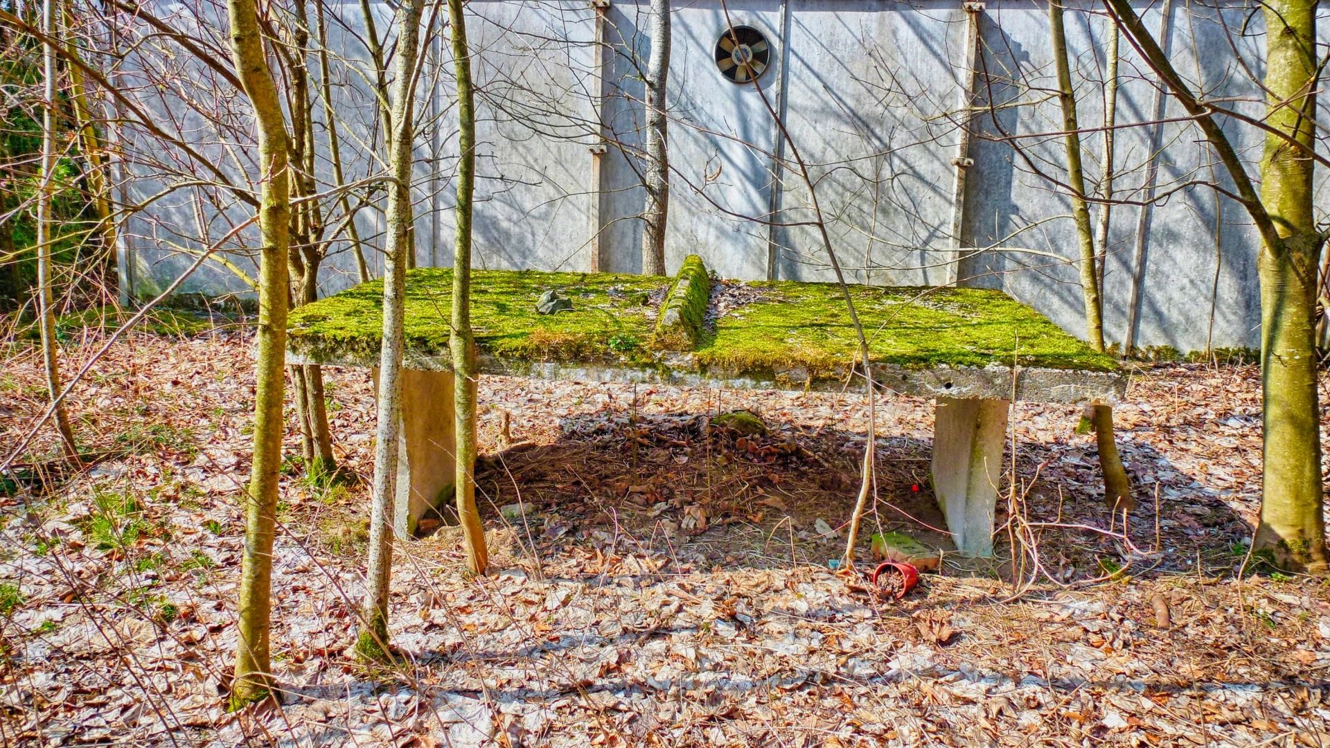 Would you like to play table tennis?