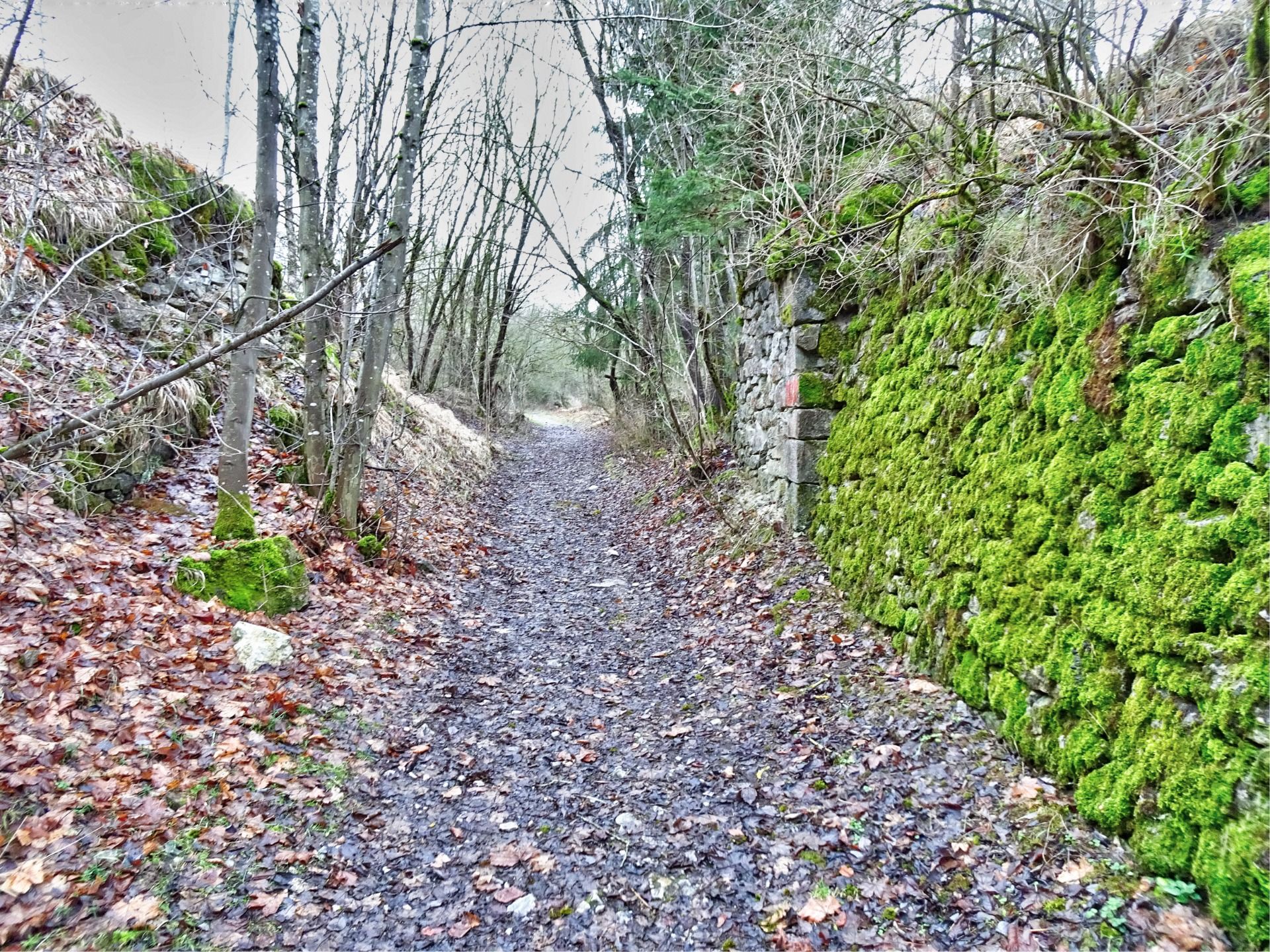 The way the prisoners have to go