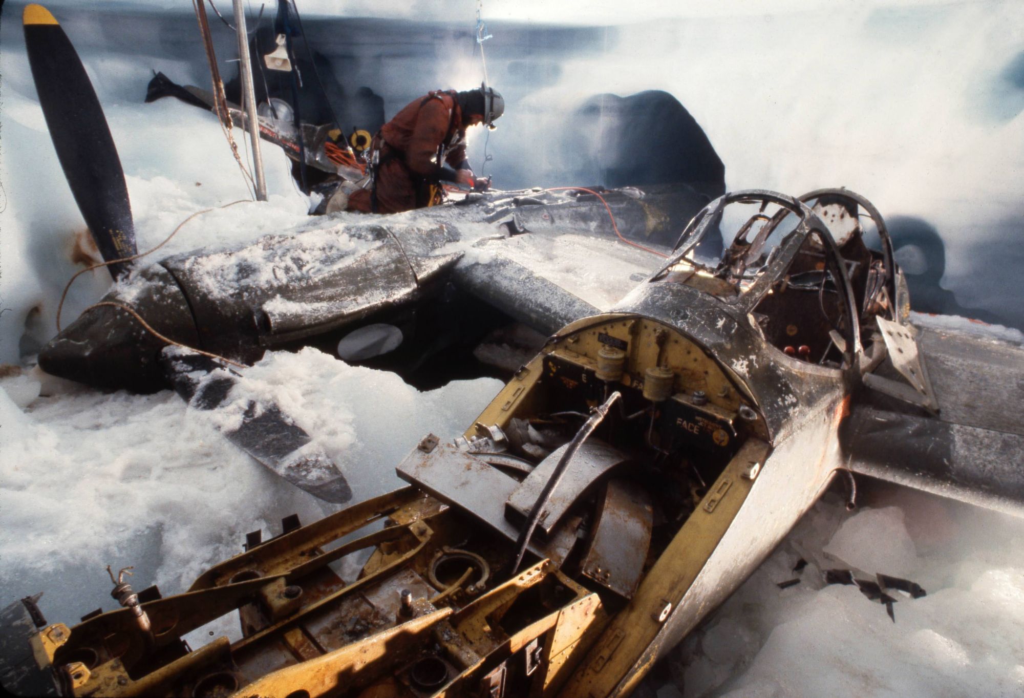 A bunch of airplanes are still under the ice shield.