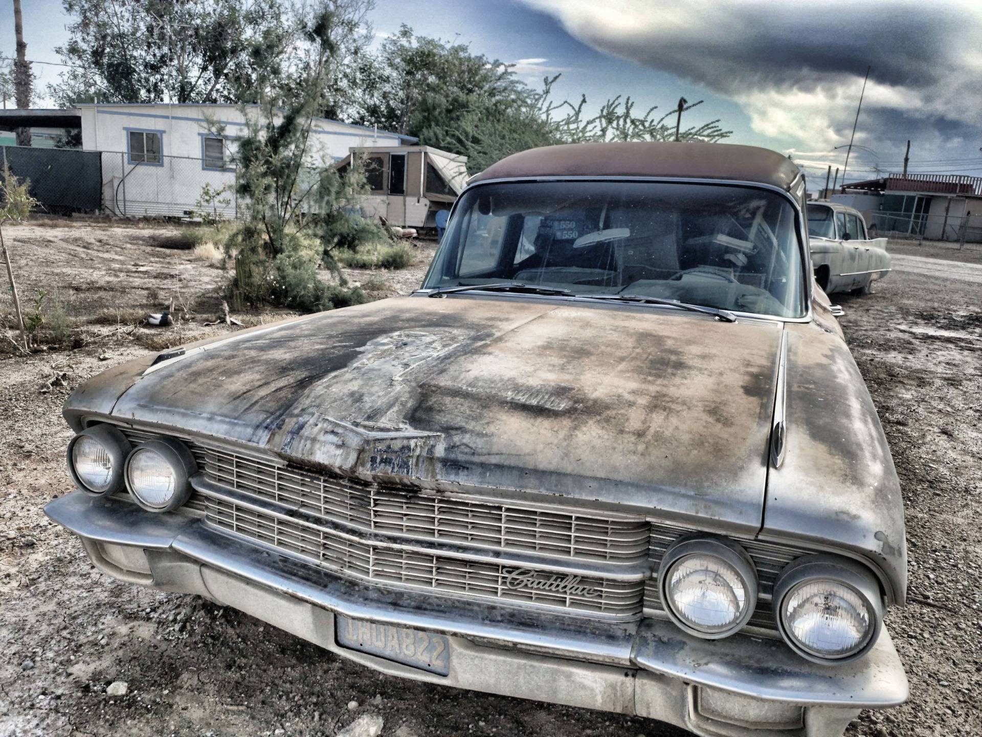 Abandoned cars: Giants made of dreams
