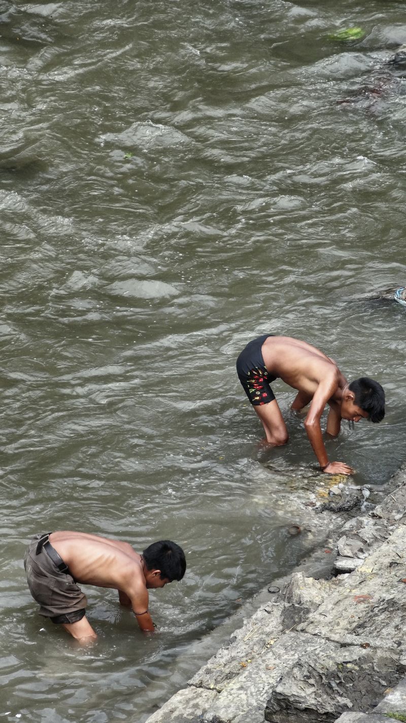 Have you found a golden teeth?