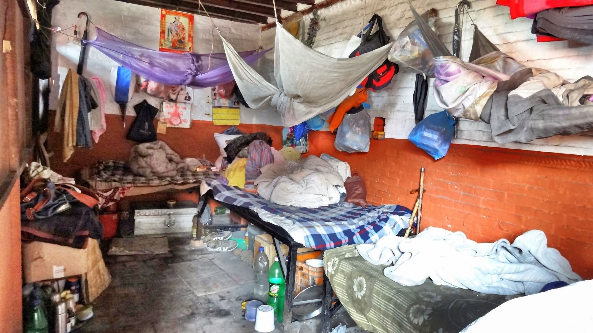 In sheds like this.