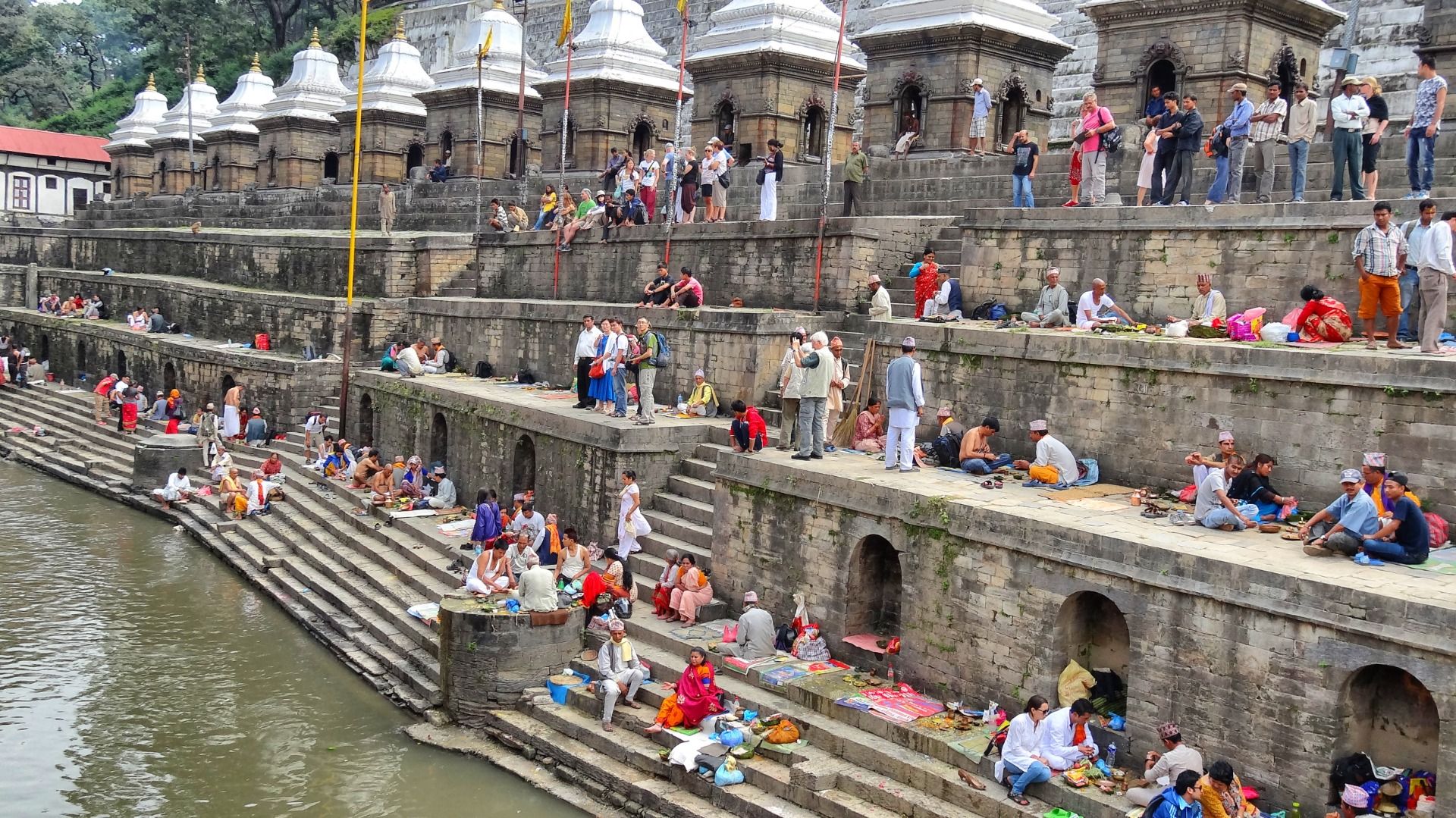 Picknicks on the other side.