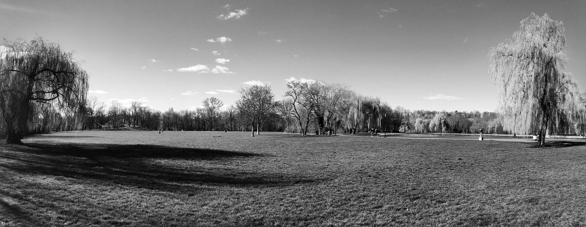 The park, empty.