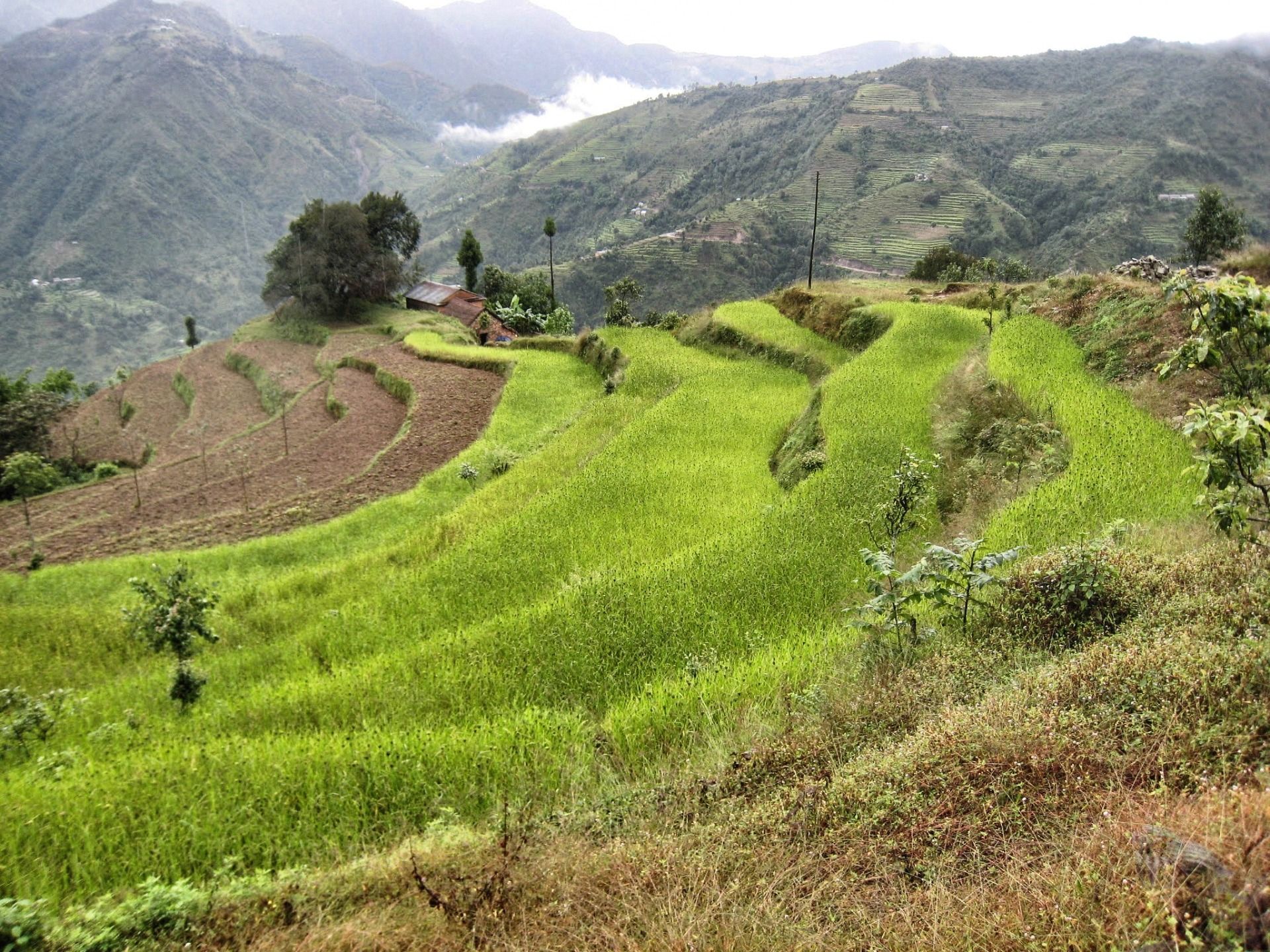 But the agriculture works.