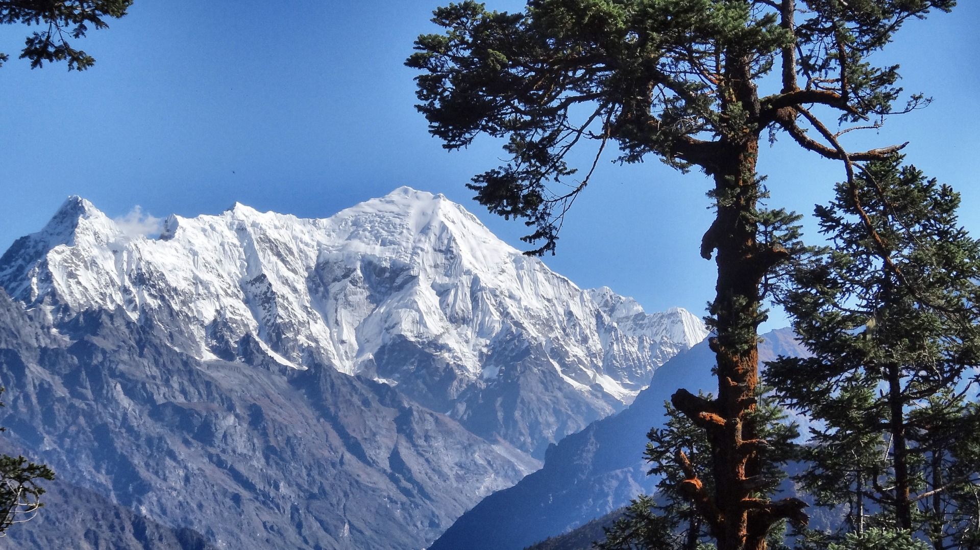 Hiking Sherpa land: The Hunt of the red panda