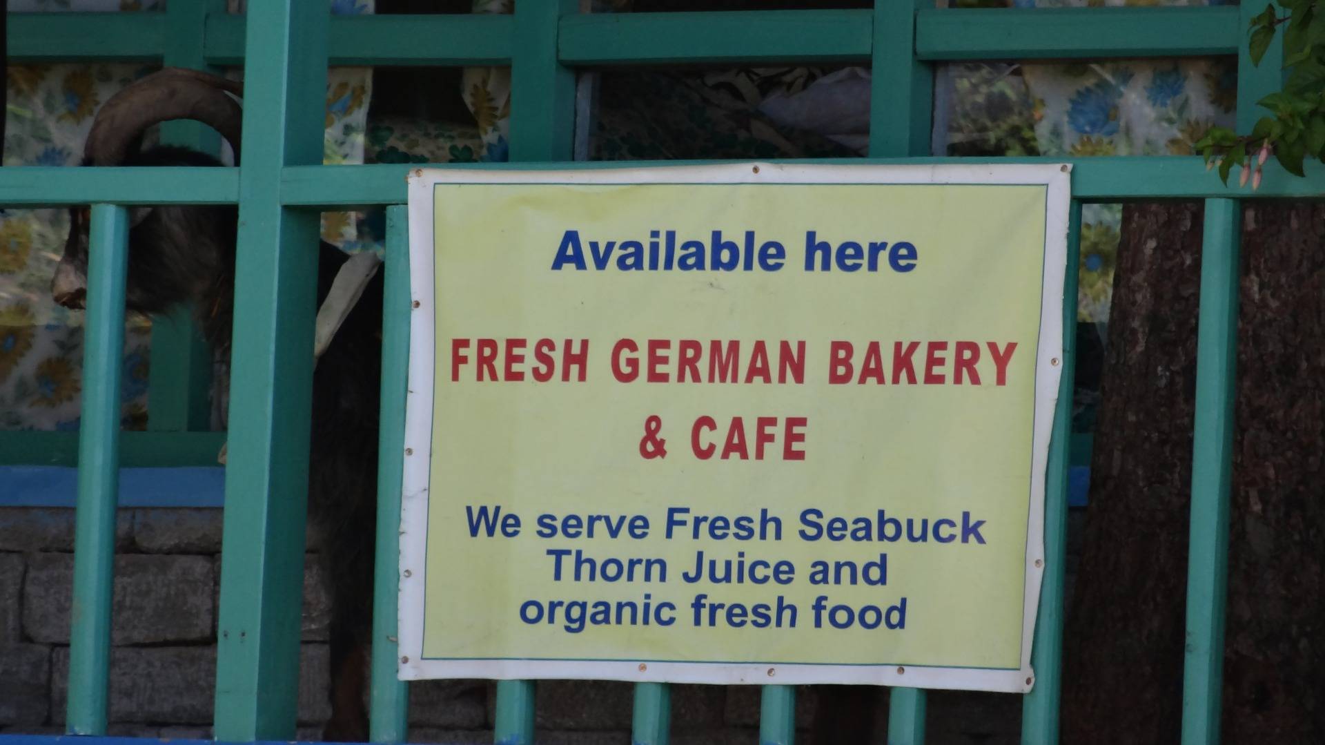 Another german bakery at the end of the world