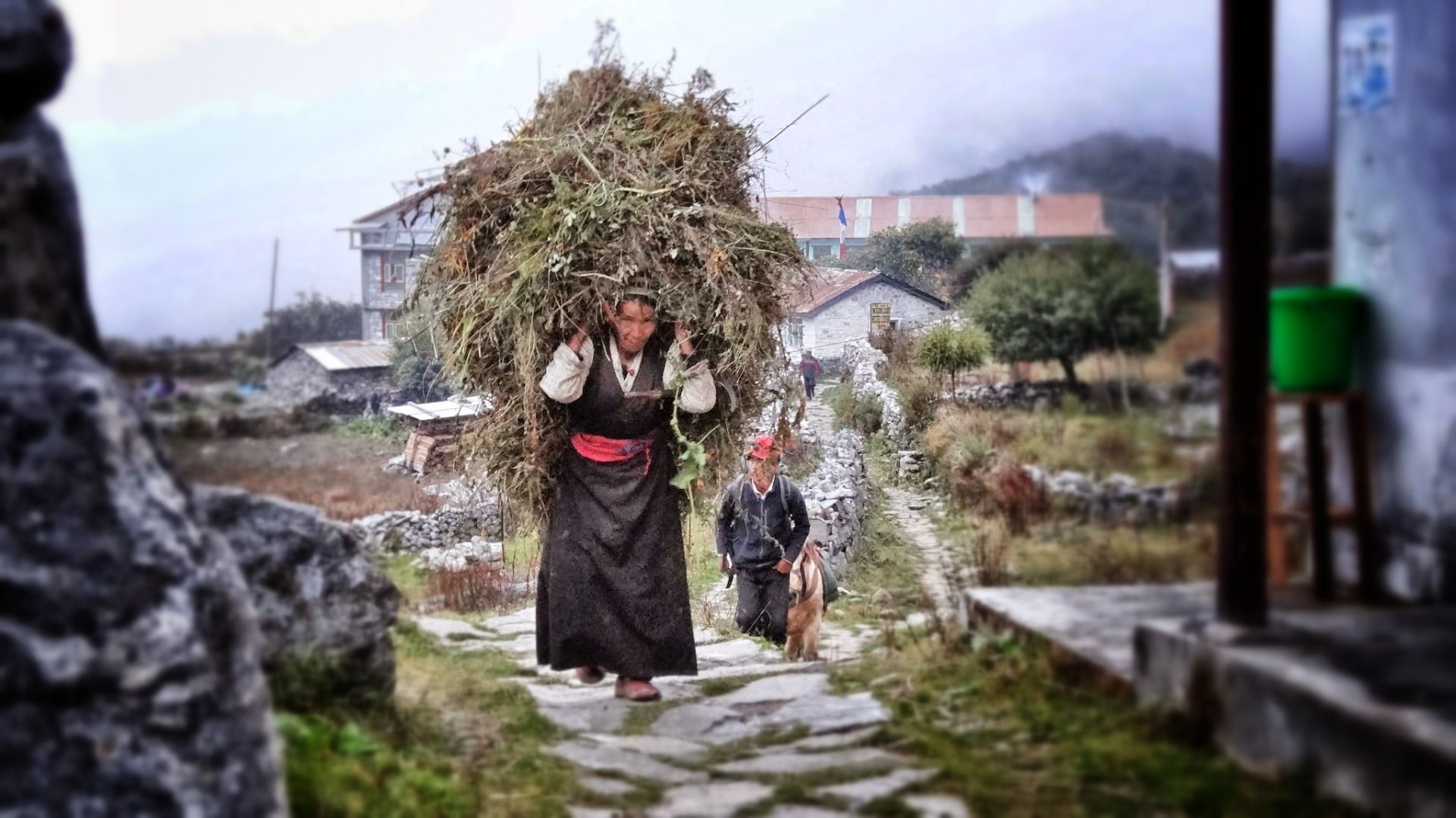 The woman are the working machine of the Himalaya