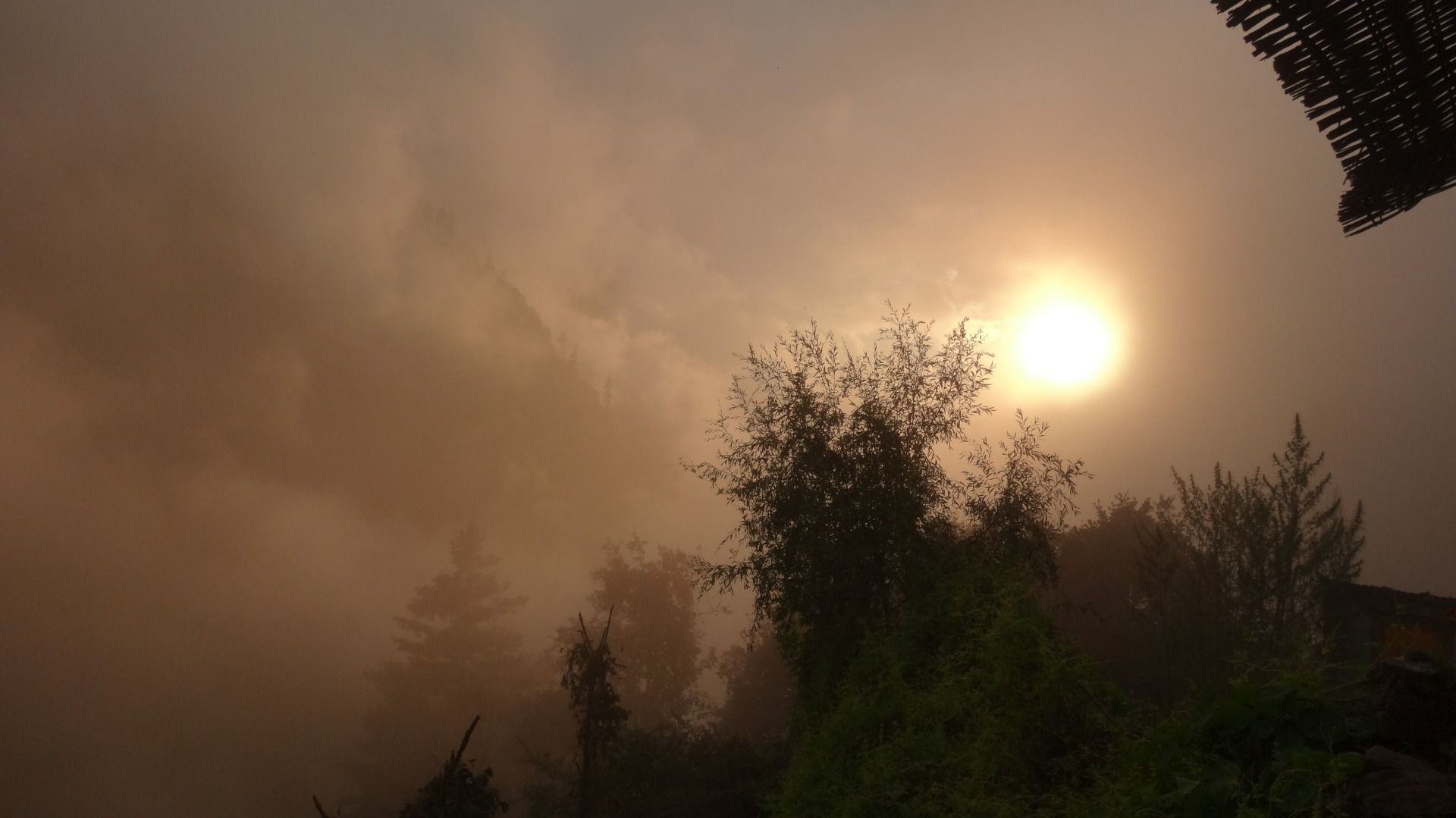 and a dusty sun.