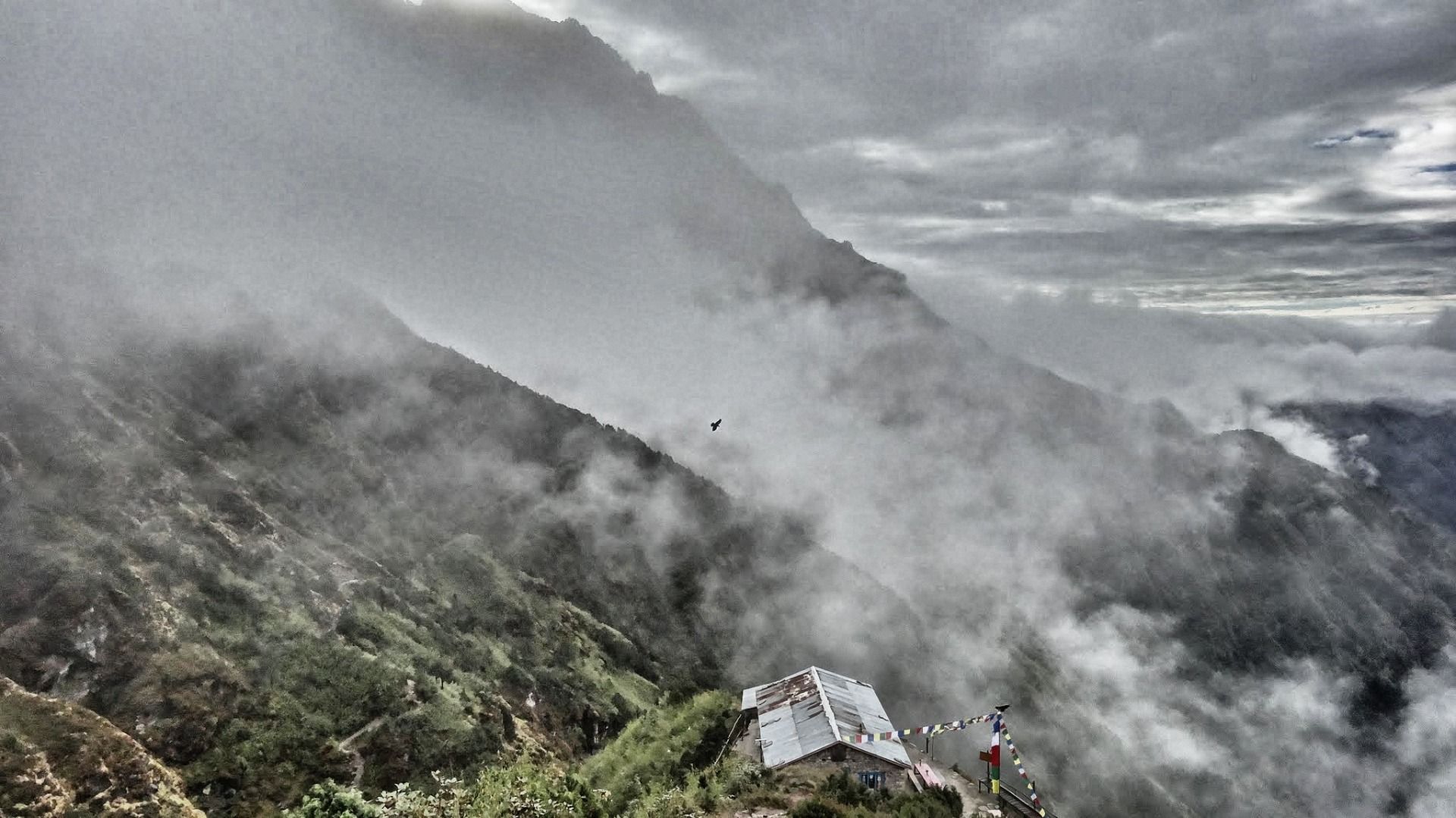 The roof of our lodge after we leave it.