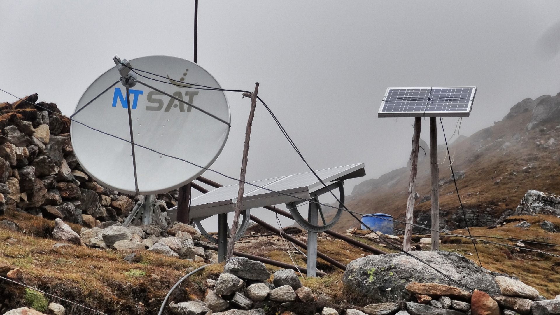 Are friends electric...