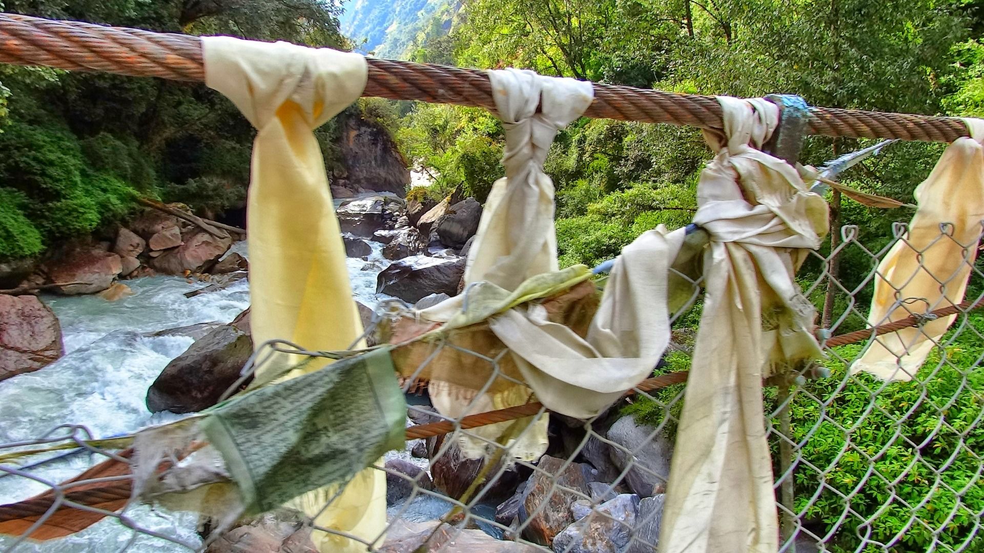 All along the river.