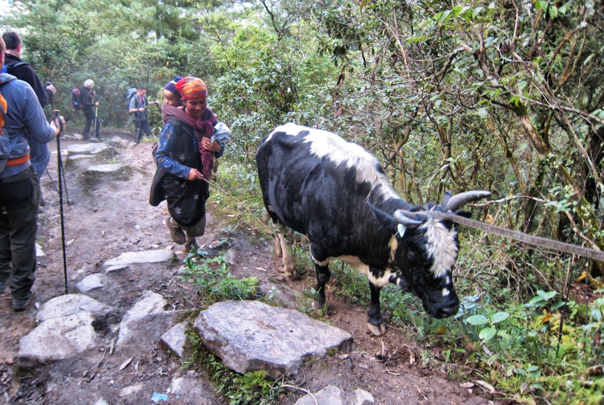 If you meet animals you always have to go on the hillside of your way!