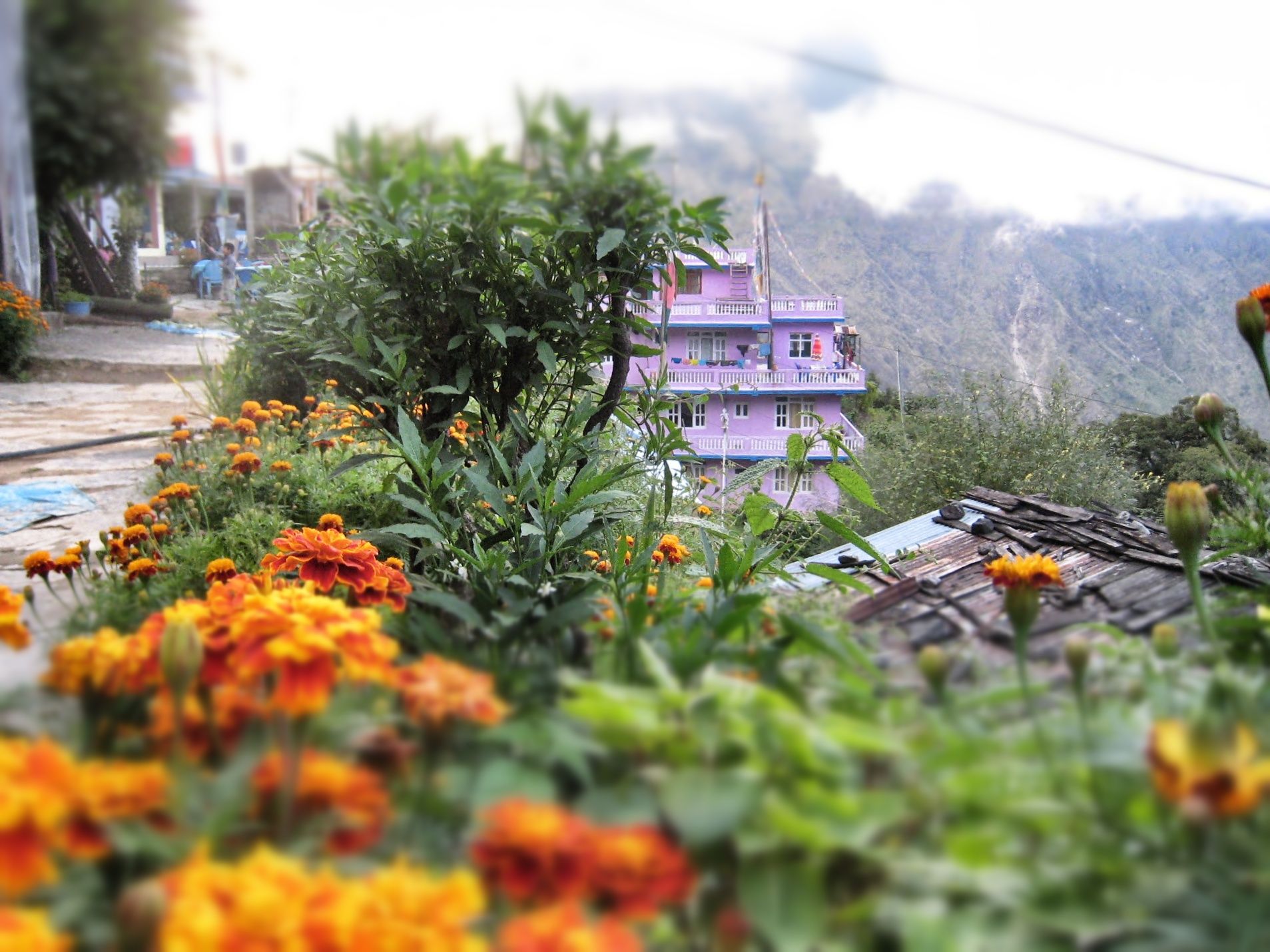 Color are the second name of Nepal.