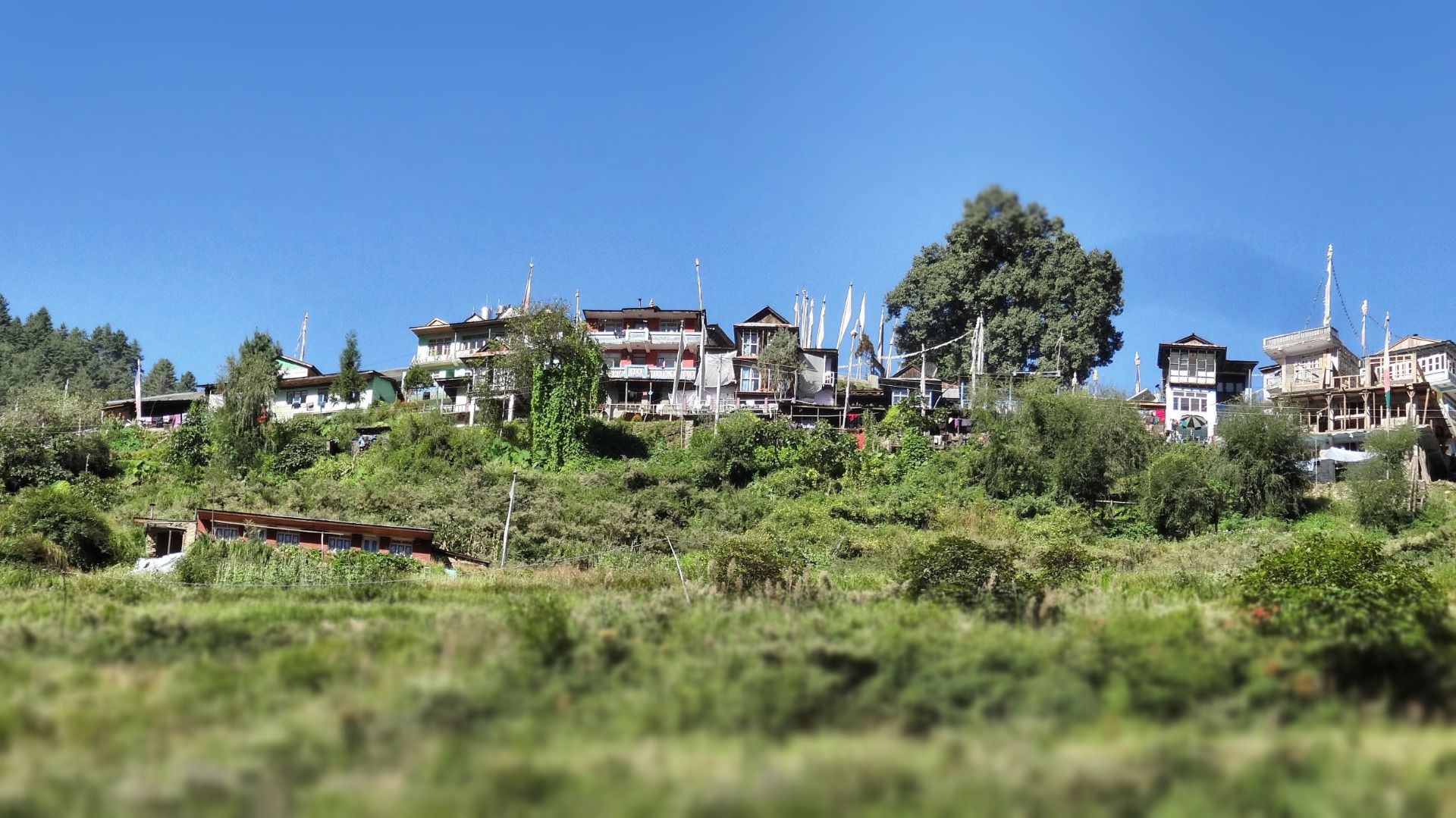 Thula Syabru is a kind of a city, small...