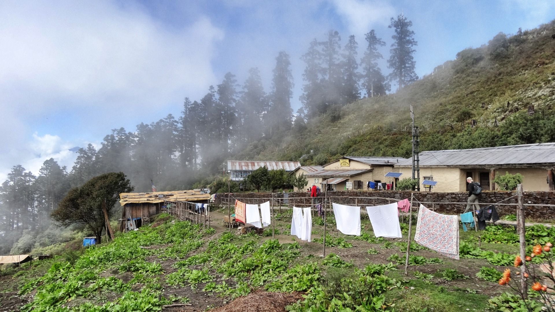 The laundry is open.