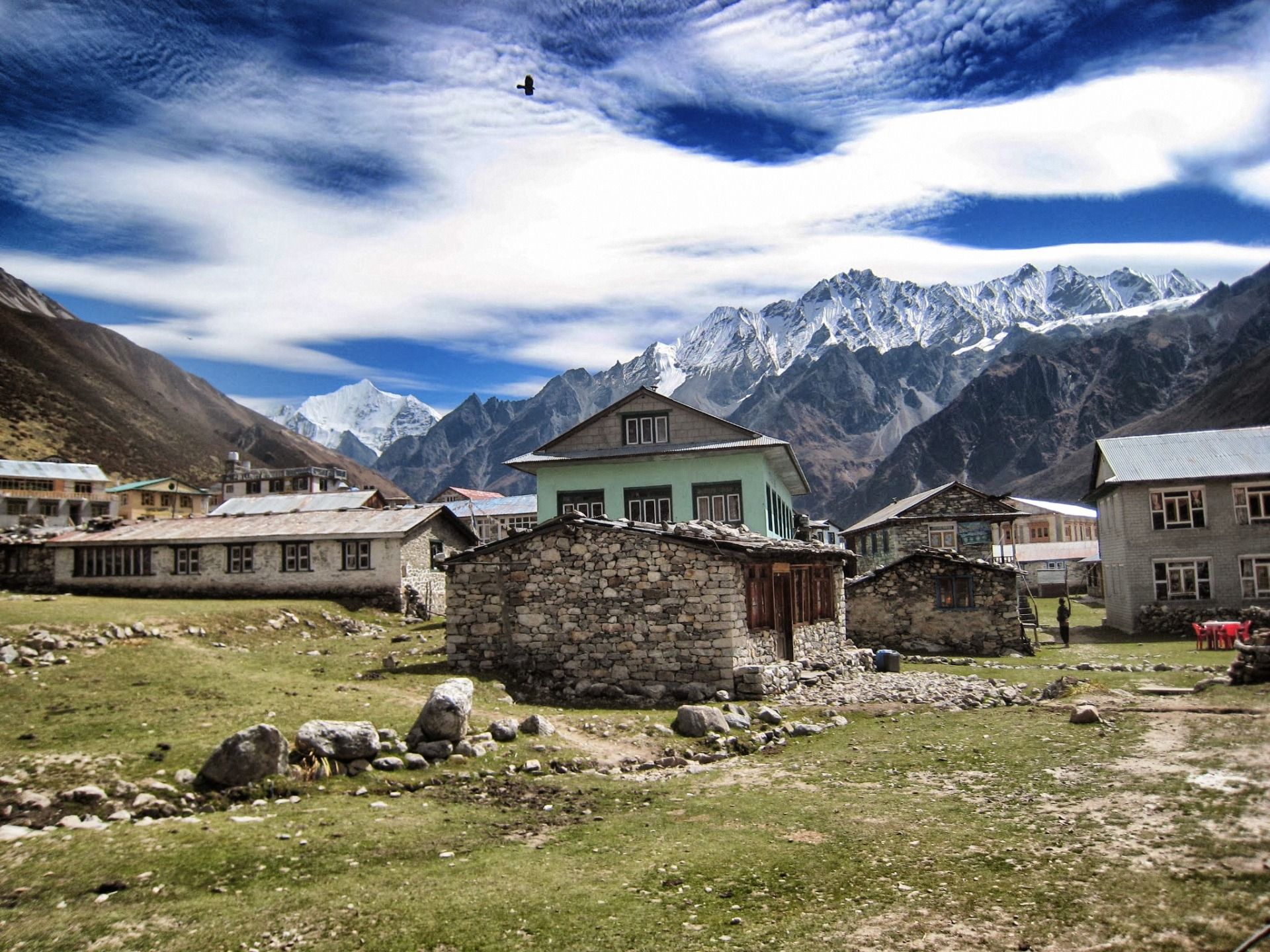 Home is where the bird flies.