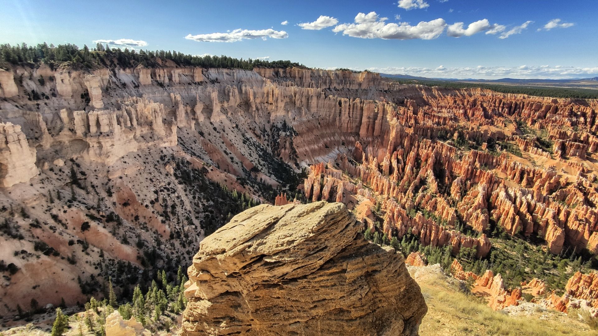 Als wäre die Welt ein Nadelkissen.