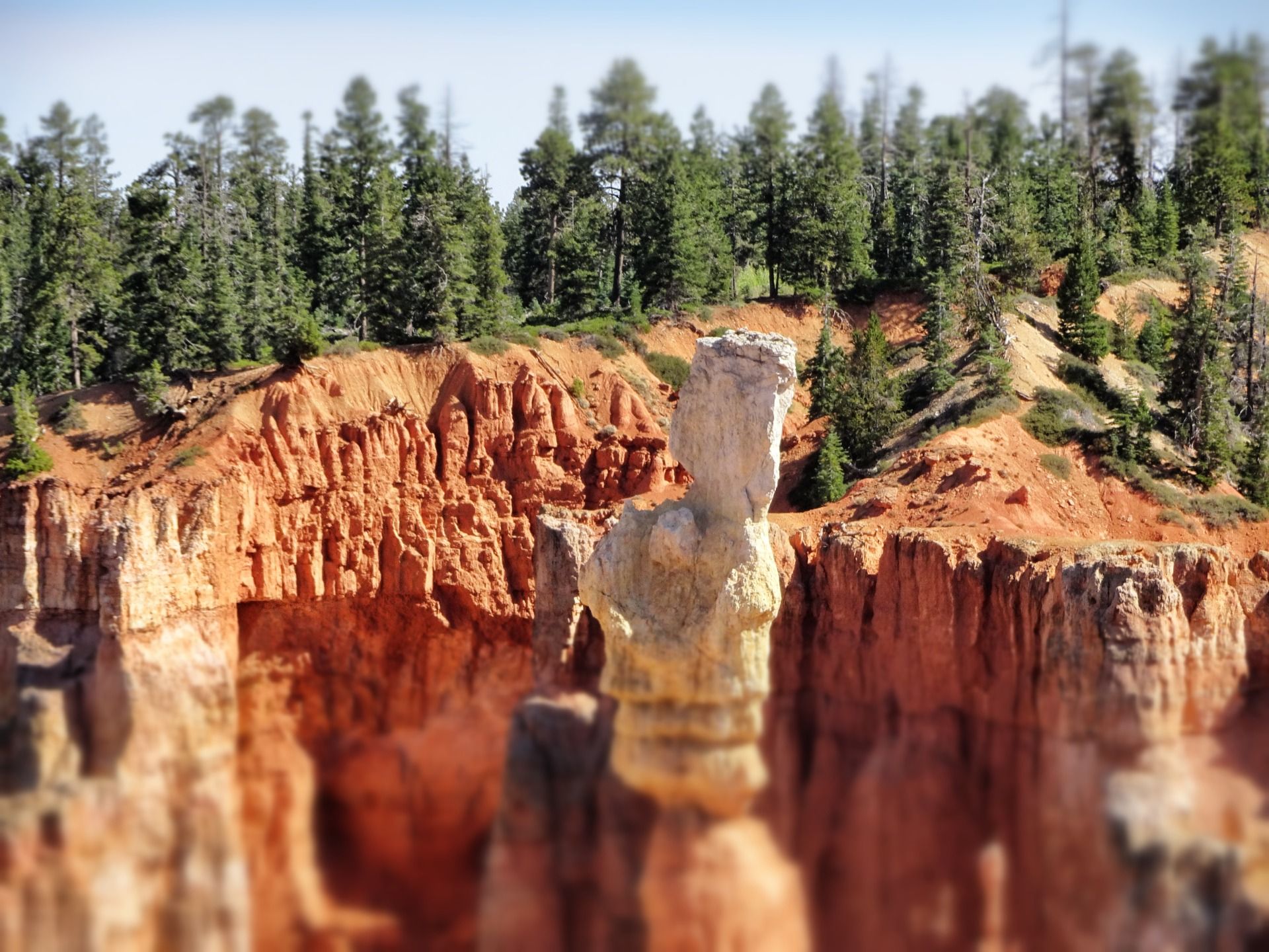 Eine Skulptur, geformt von Wind und Wetter.