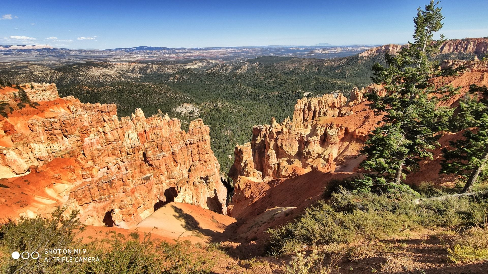 Wanderwege führen hinunter ins Tal.