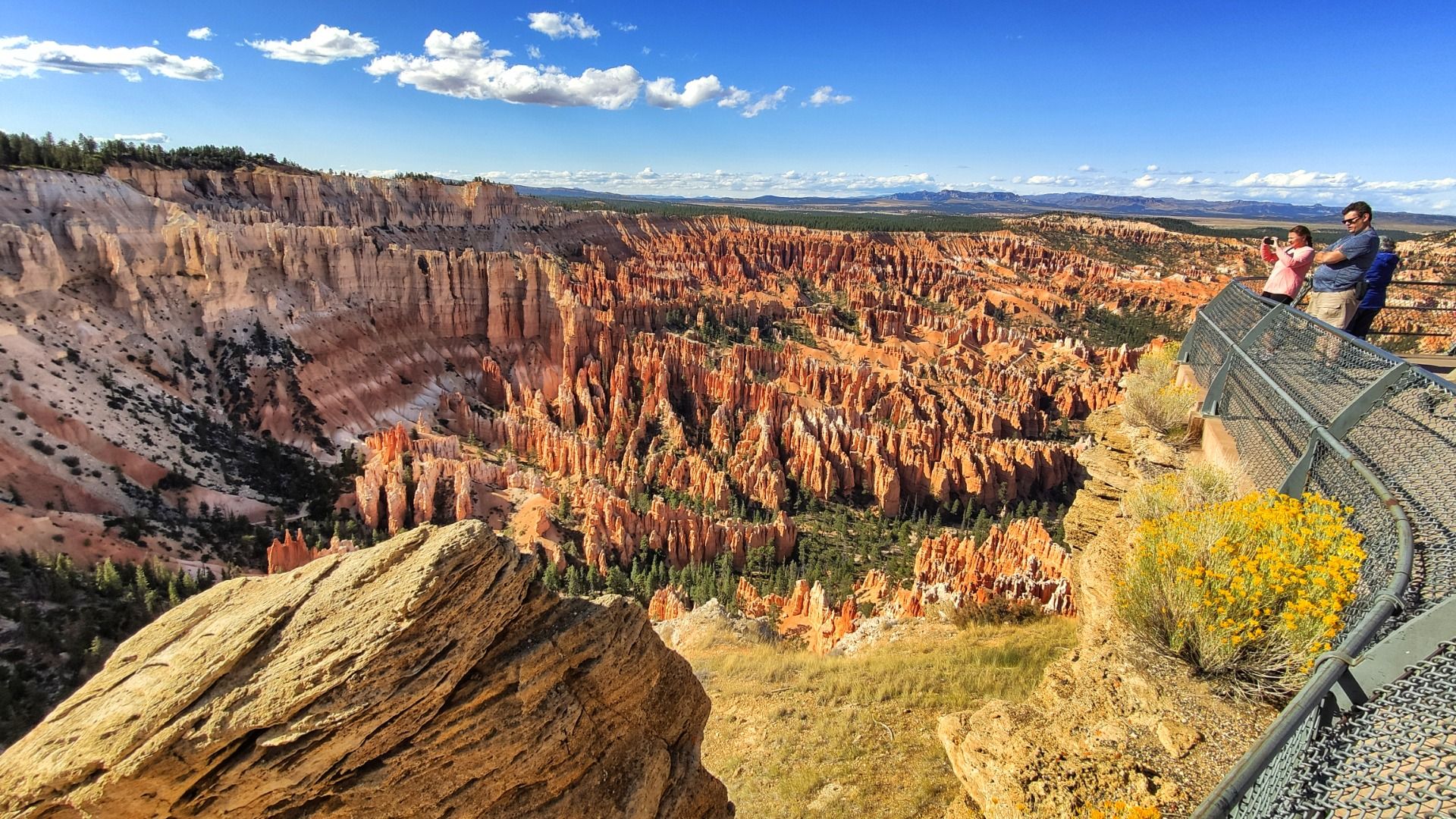 Alle kurzen Spazierwege sind hervorragend ausgebaut.