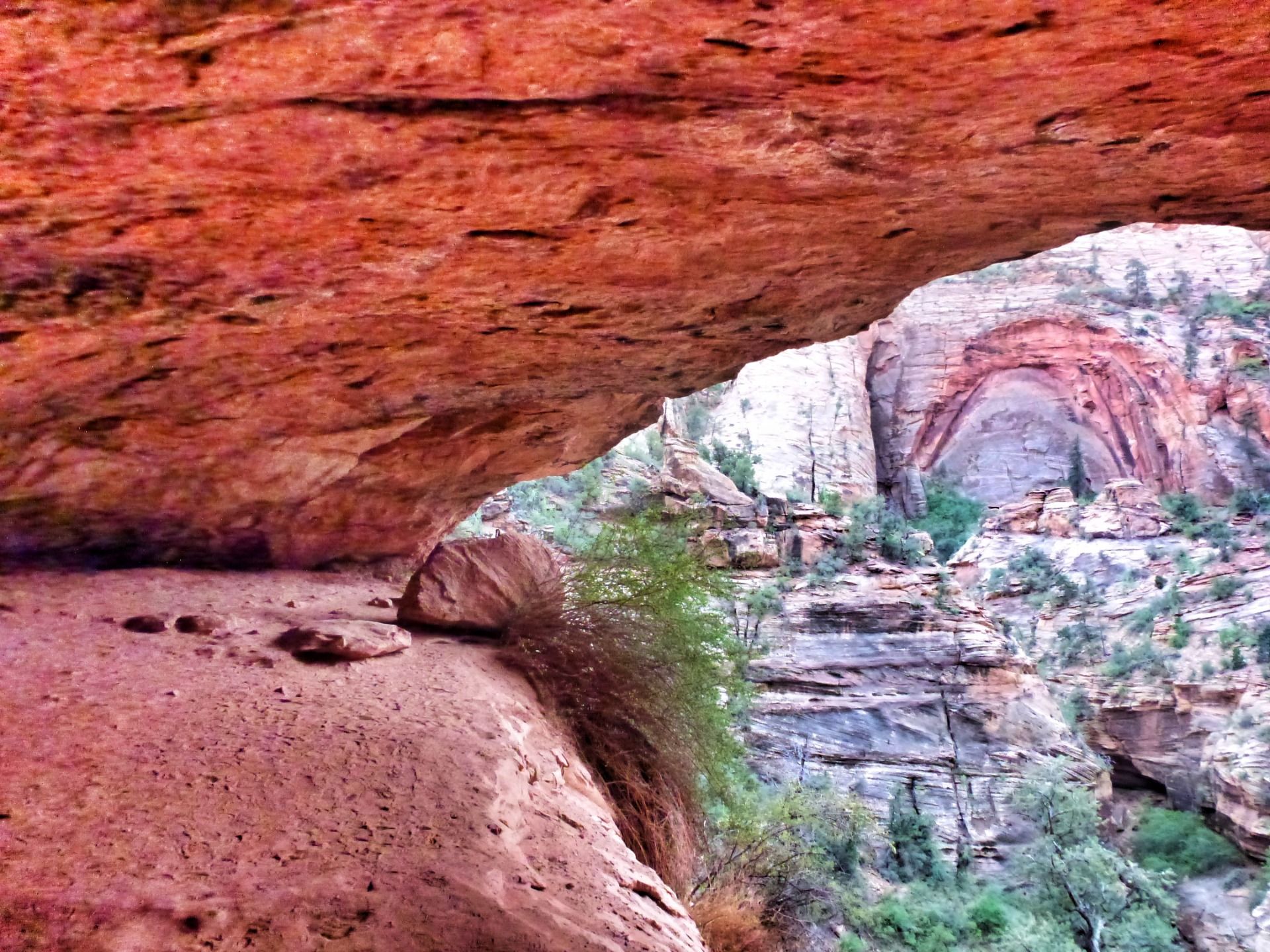 Einblicke und Durchblicke in einem ganz besonderen Nationalpark