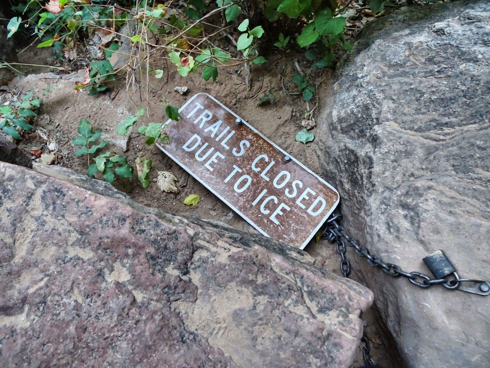 Zion Canyon: Eiswandern unter Sandsteinklippen
