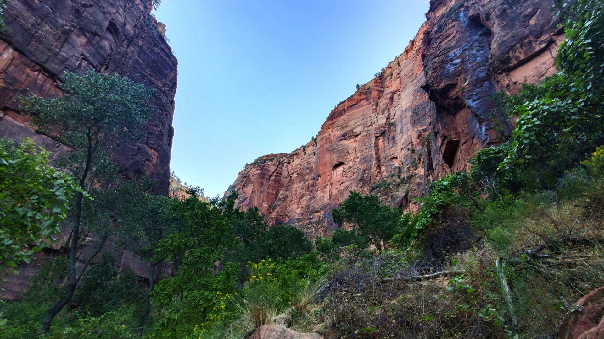 Rote Felsen unter blauem Himmel