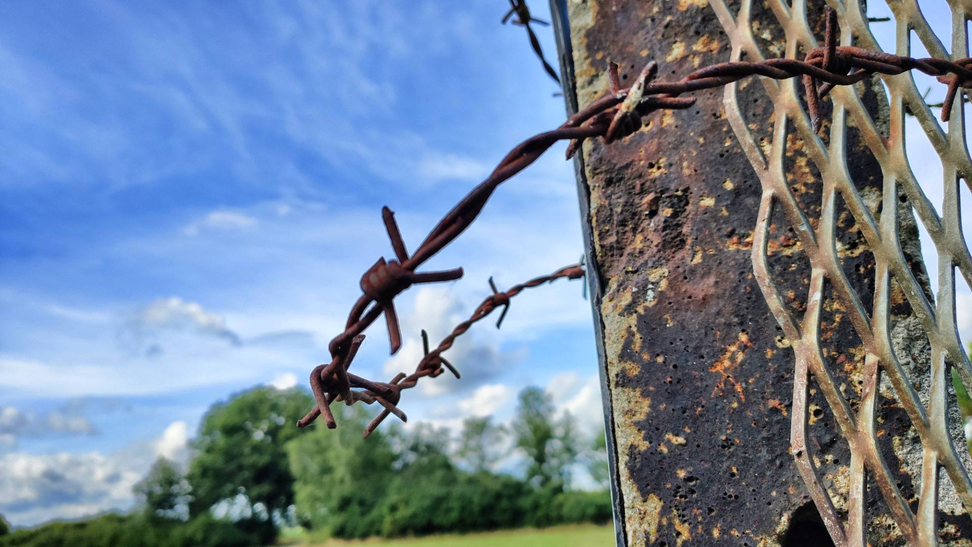 Barbed wire survided the ages.