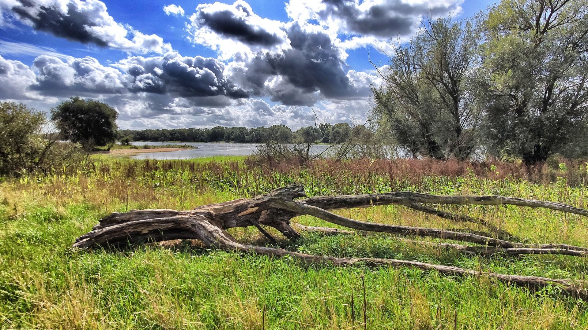 There is nature too in the former restricted area.