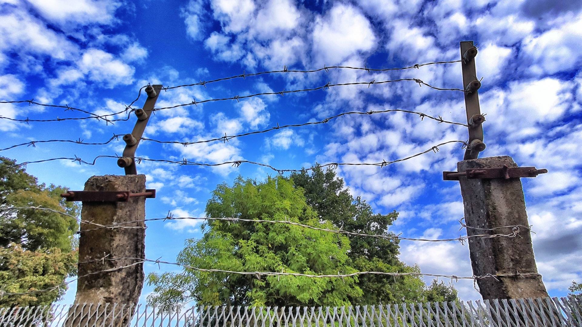 Blue sky, barbed wire.