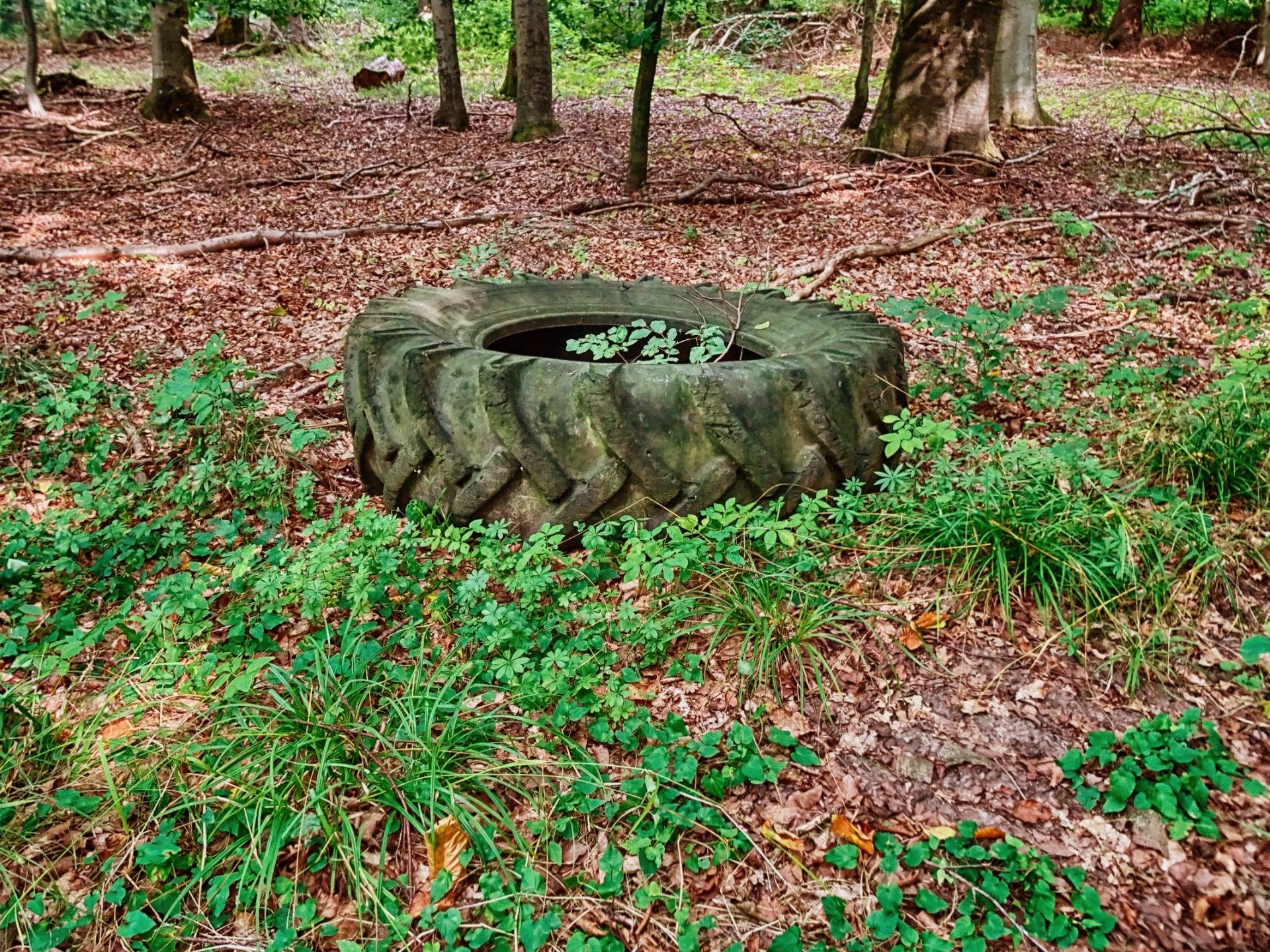 Russian tire, left in a forest.