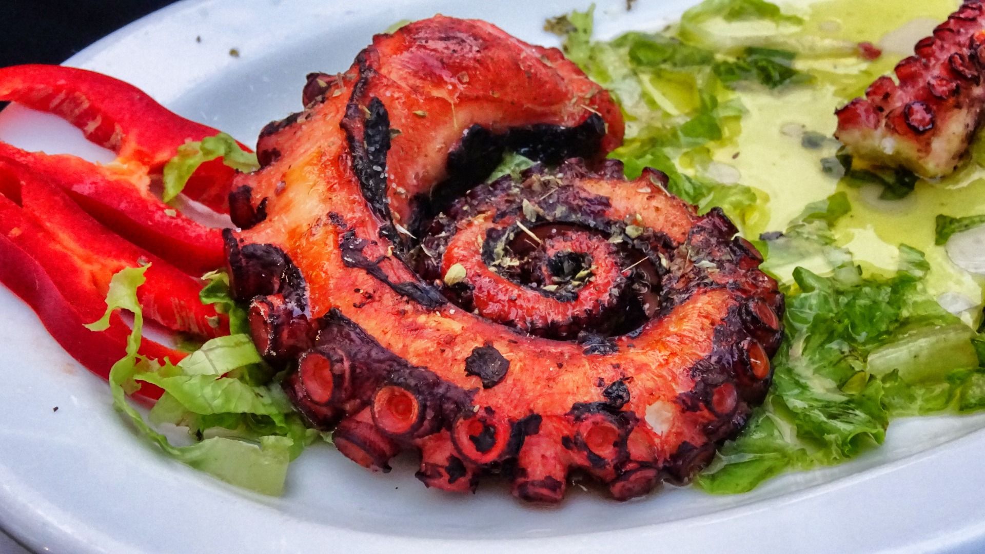 Fruit of the sea
