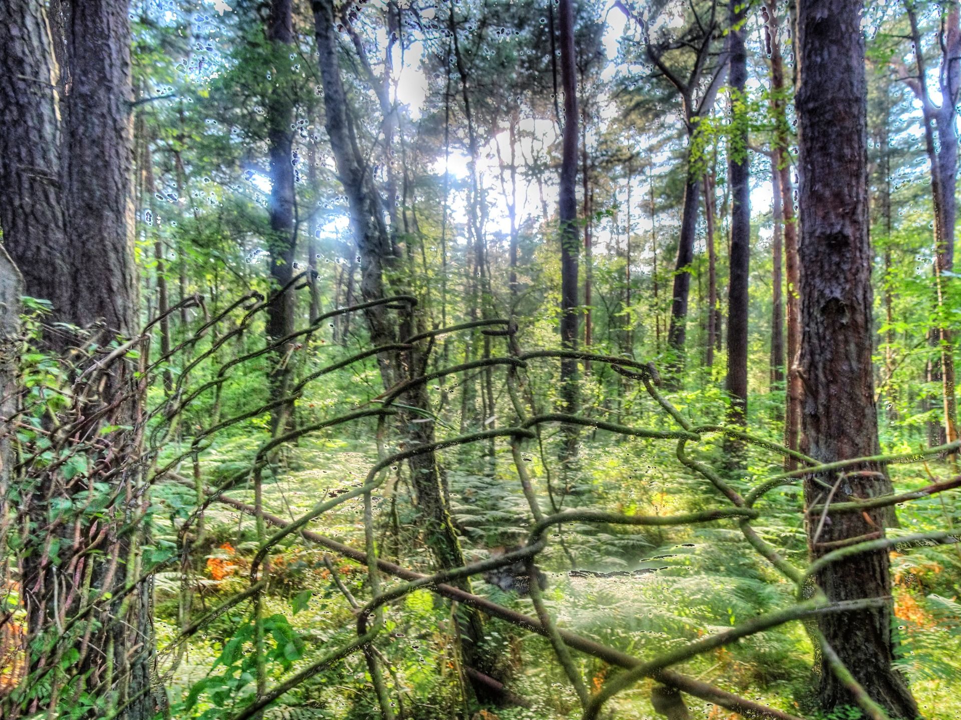 Terrible wood.
