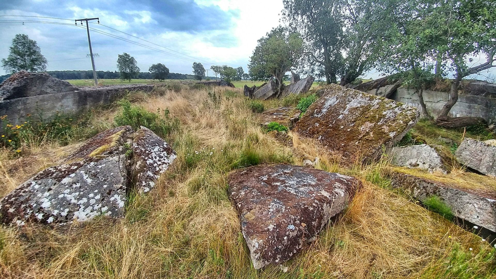 They never notice the neighborhood