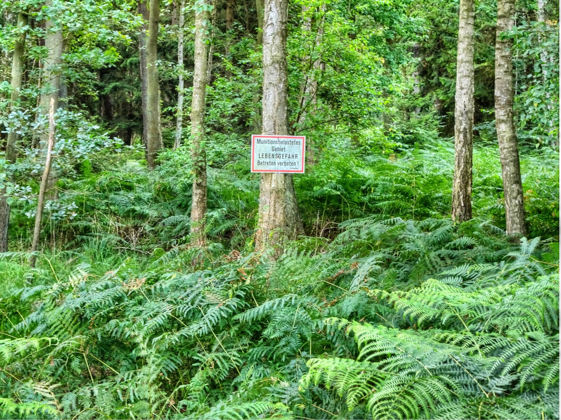 Attention, amunition!