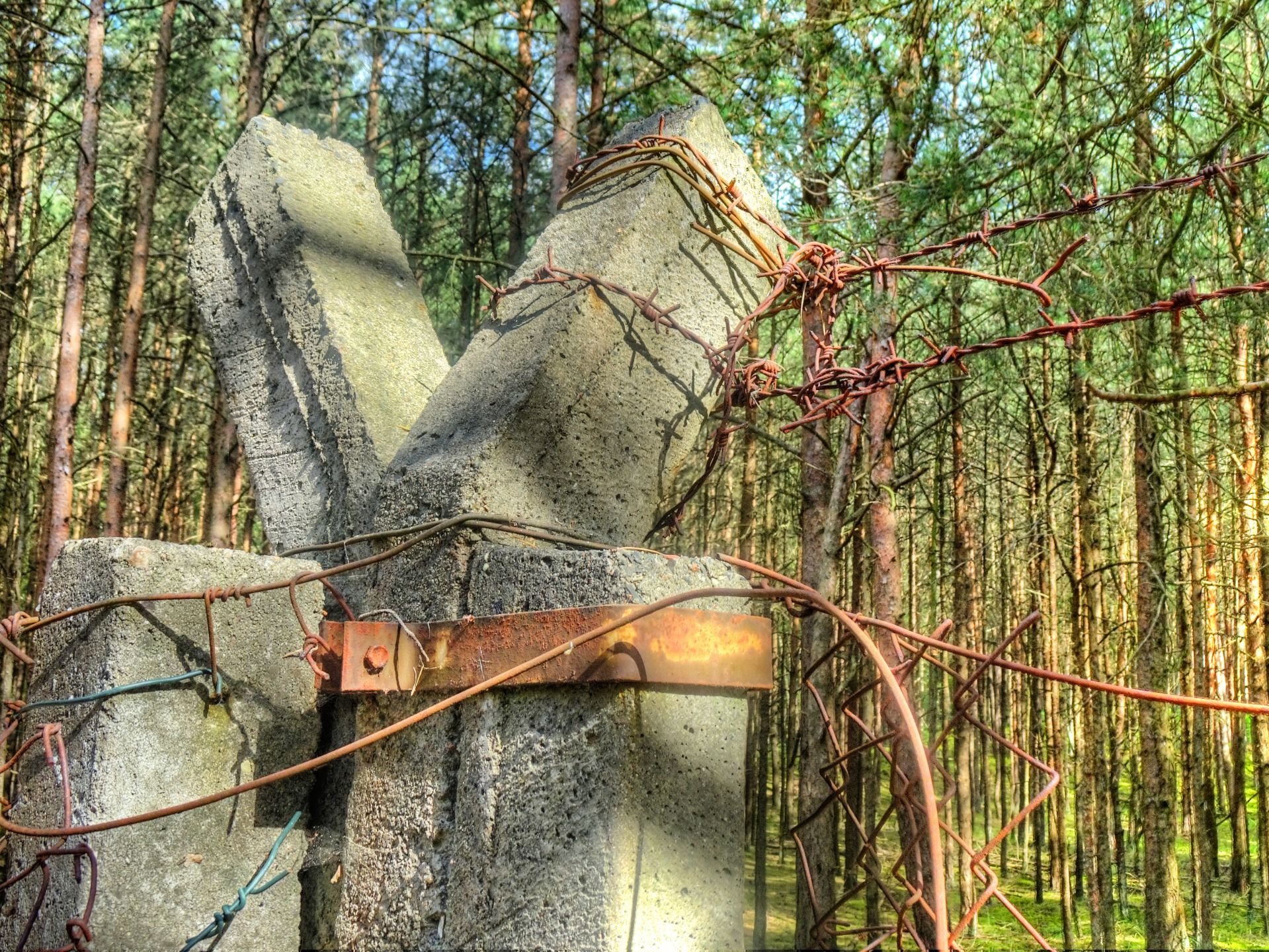 Barbed wire fences, rusty now.