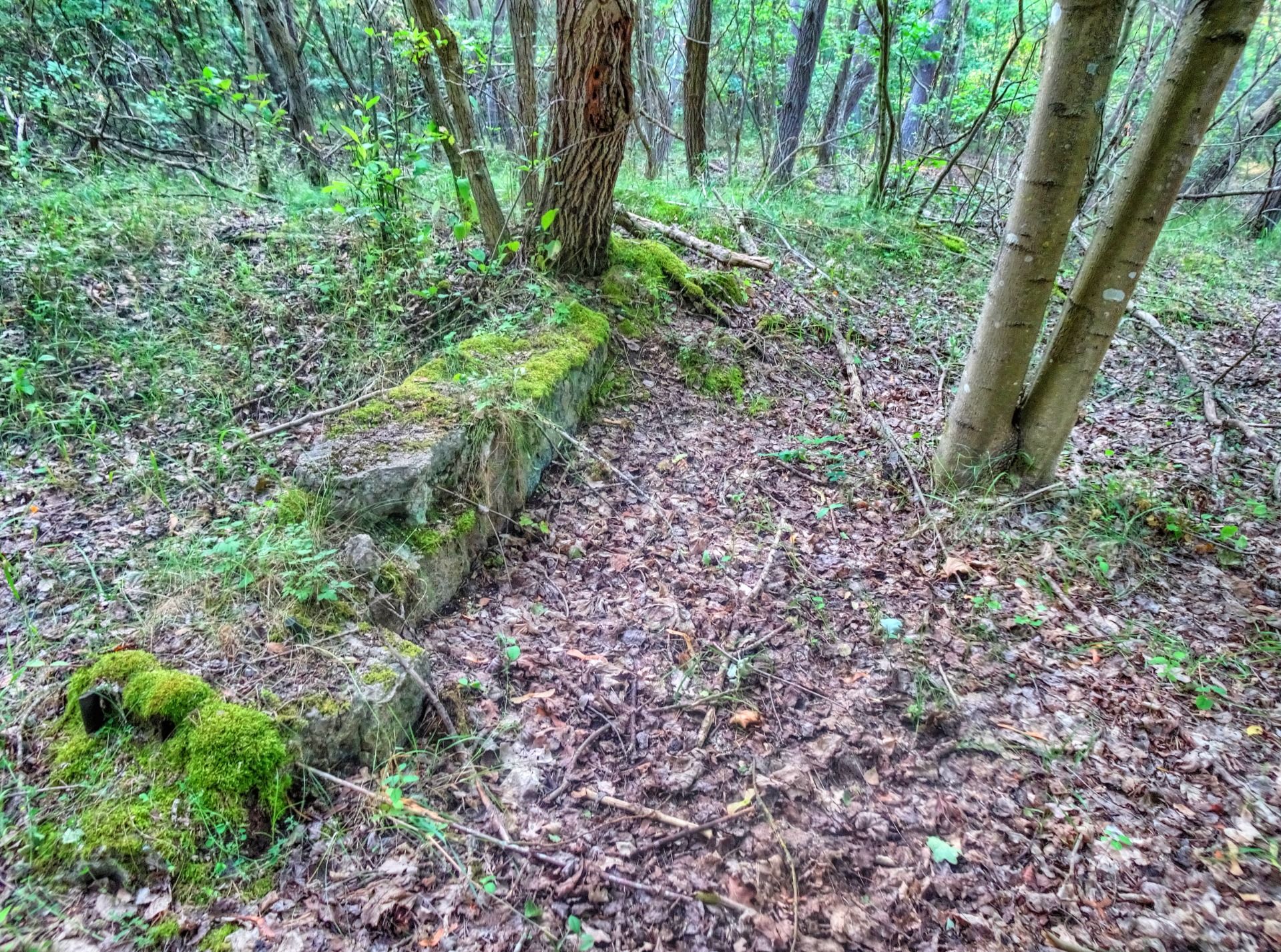 Concrete at the surface.