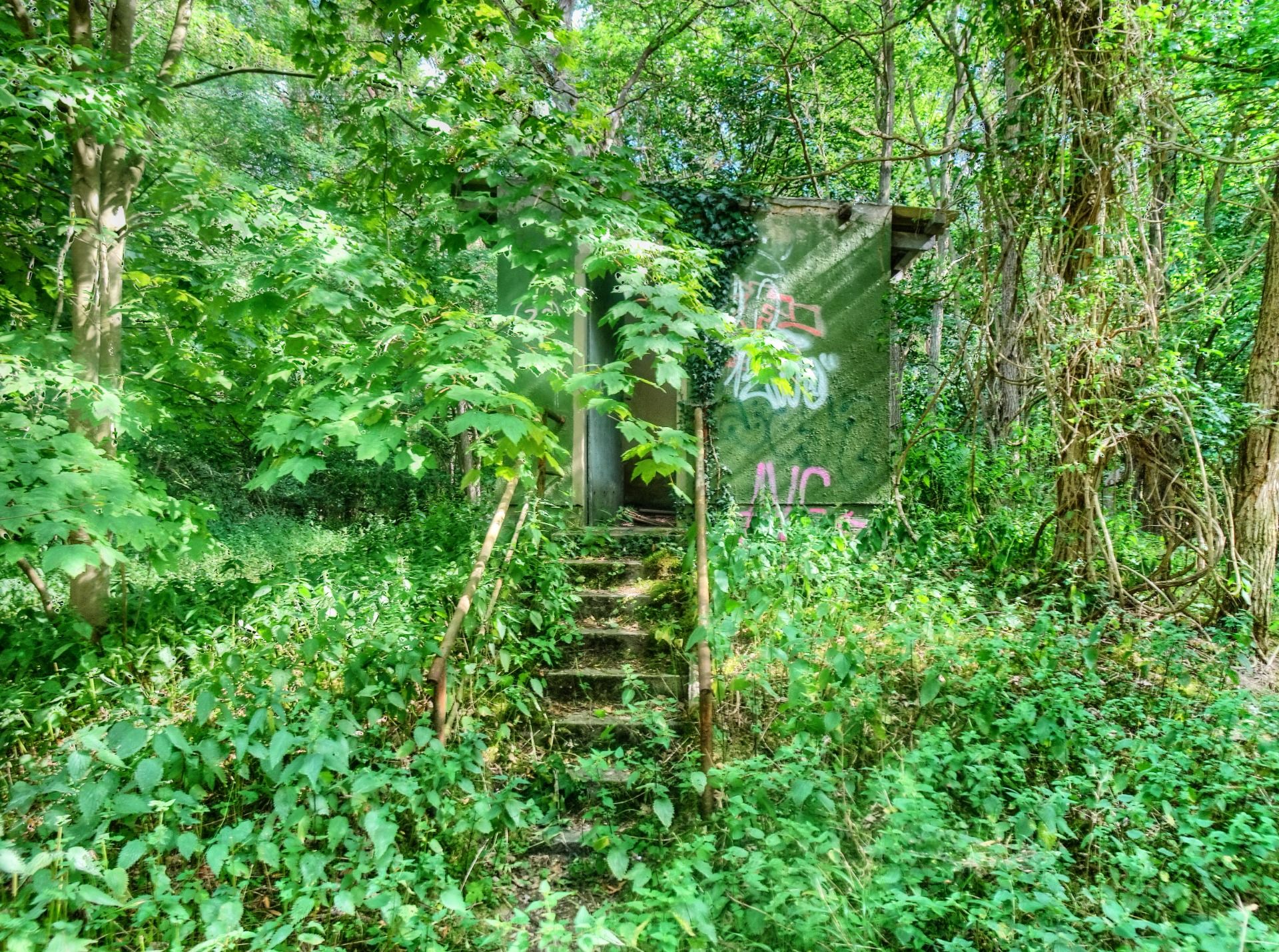 Deep in the wood are remainings of terrirble times.