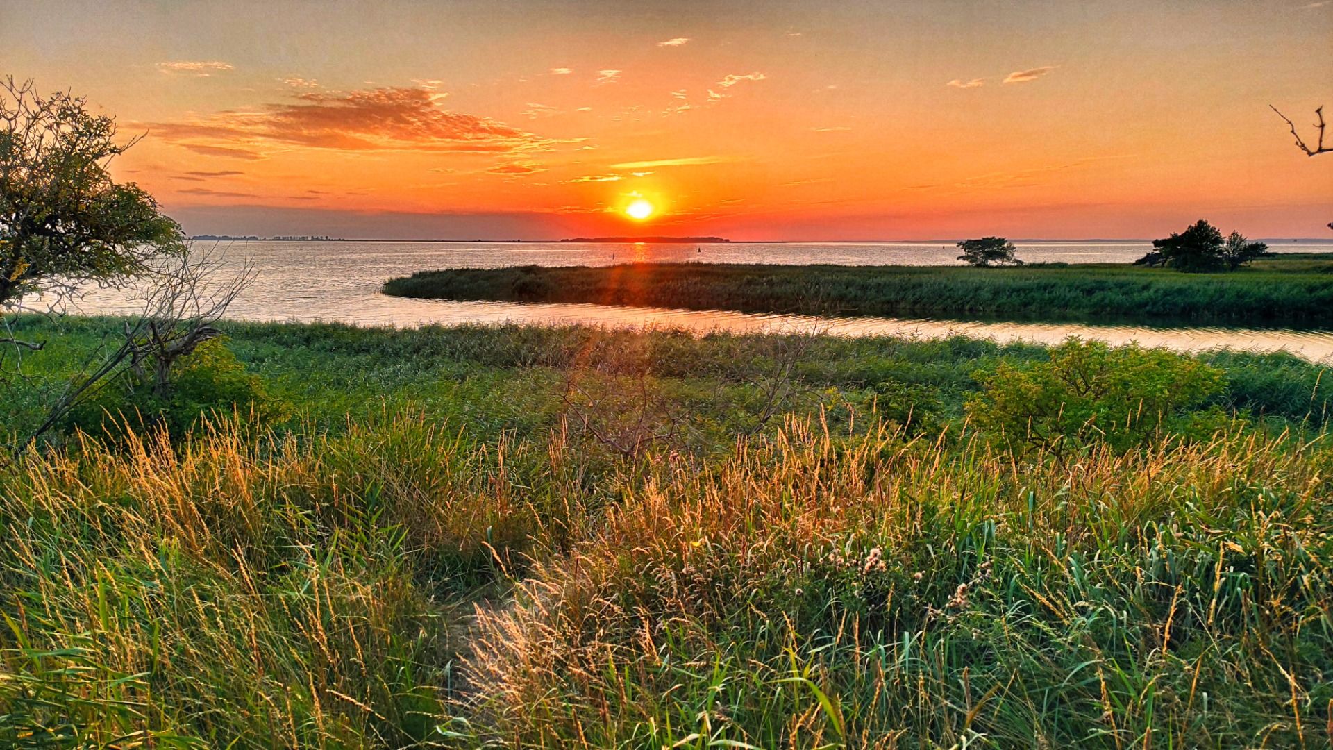 The beautiful side of a cruel island.