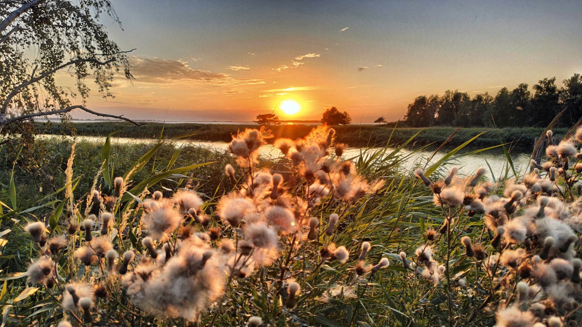 The evening over the isle