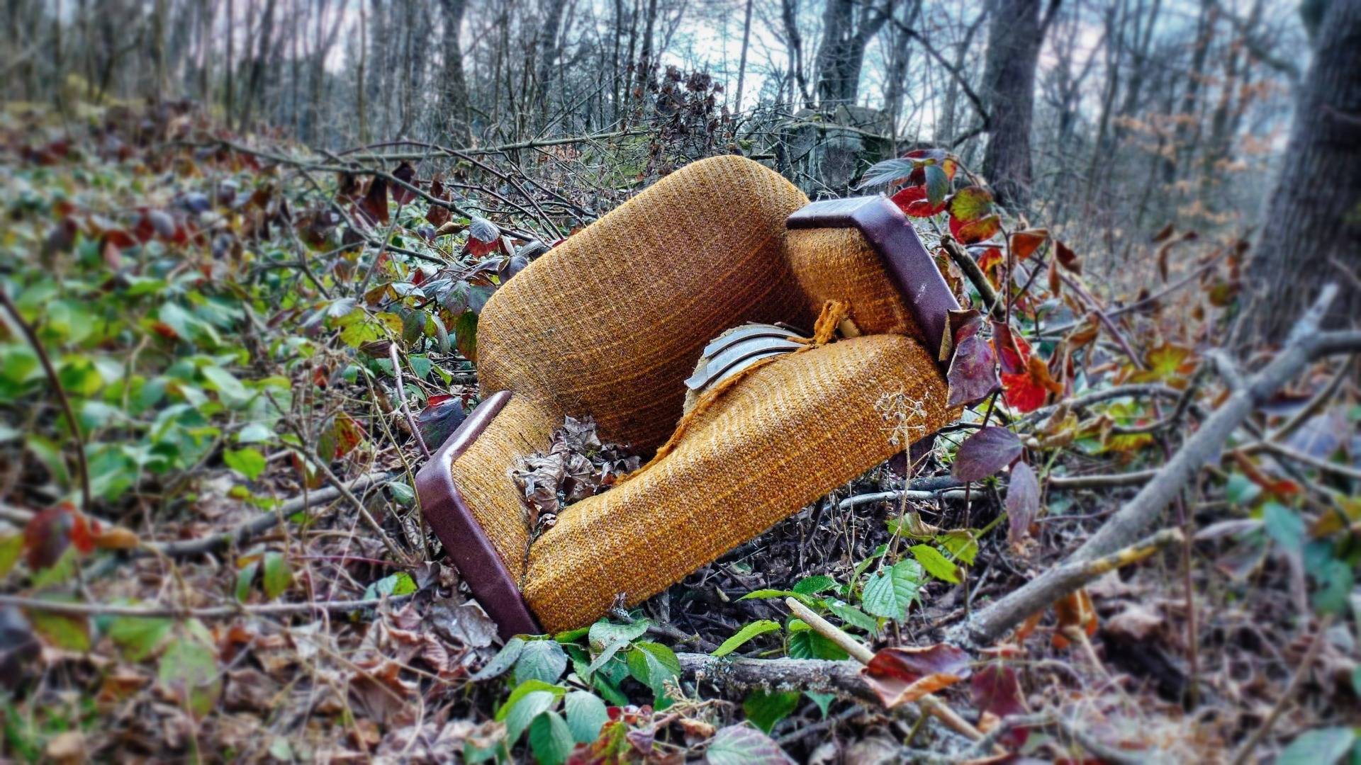 This old armchair rests in the wood