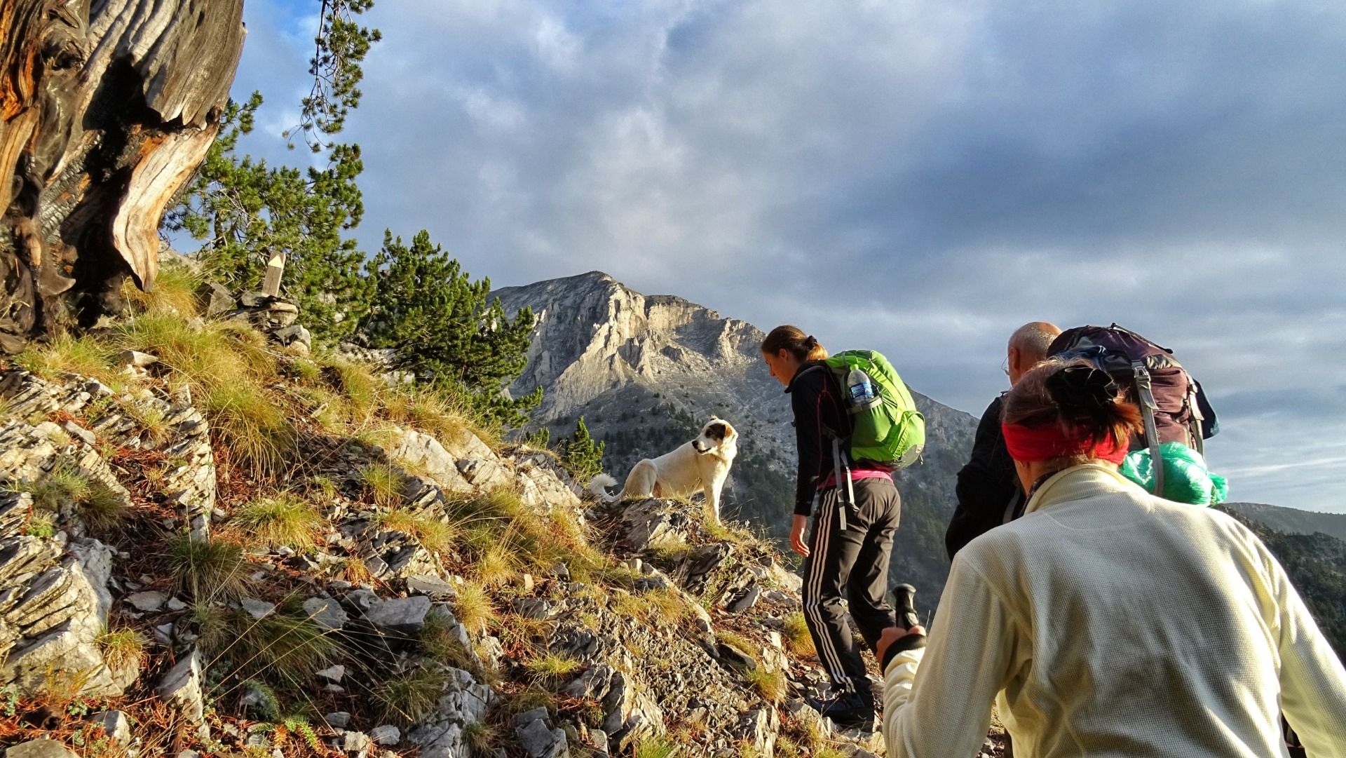 Hiking the Enipeas Gorge: Up from the bottom of everything