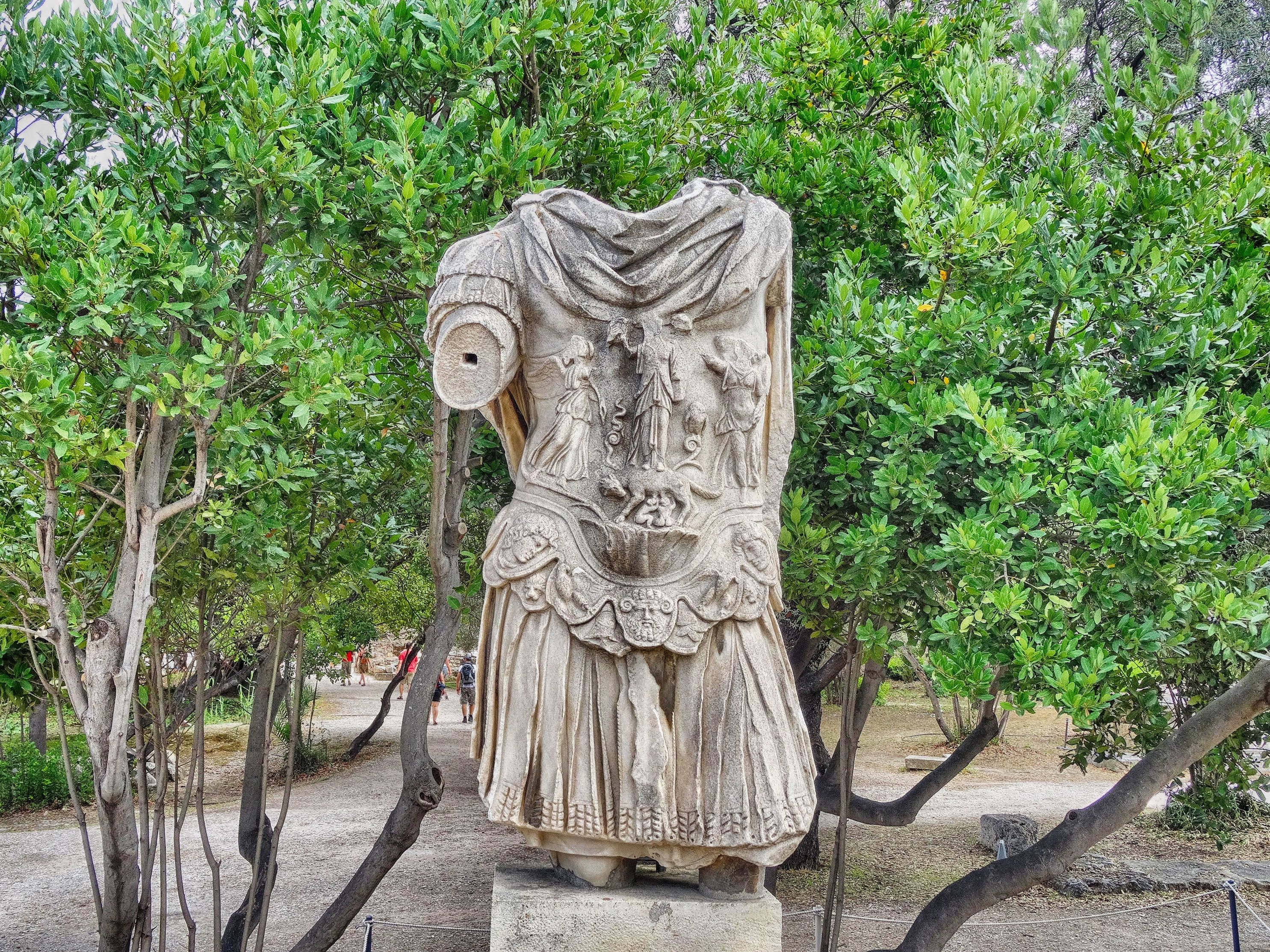 A torso