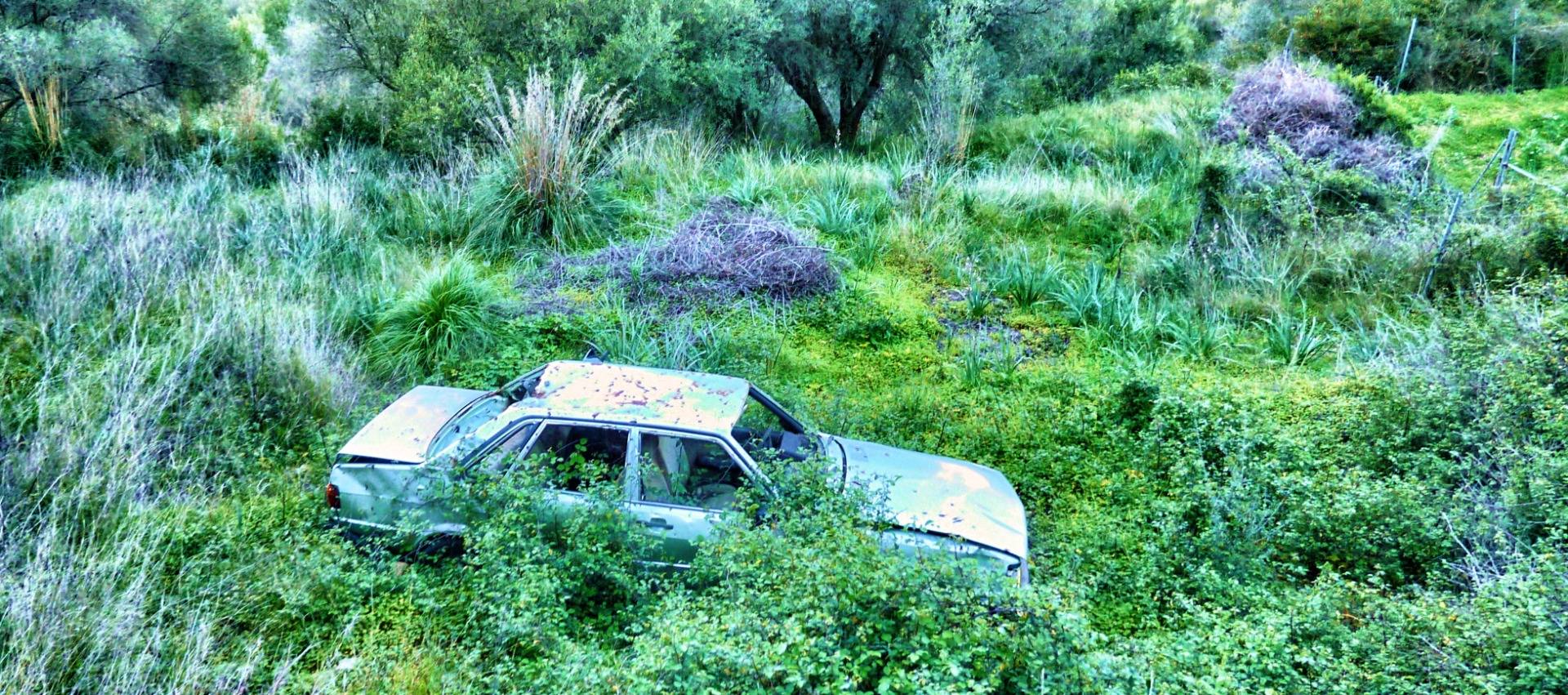 Someone has forgotten his car in the jungle