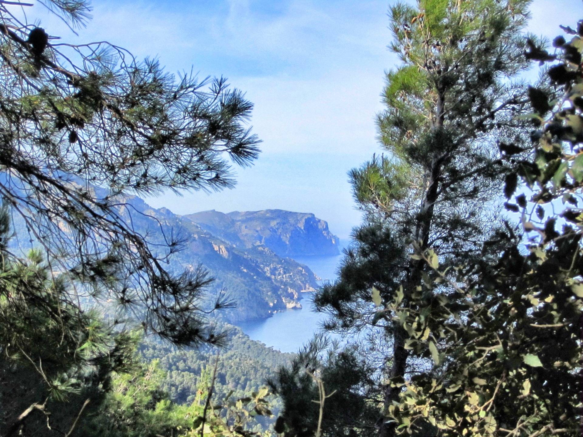 Mallorca: A long way on the Dry Wall Trail