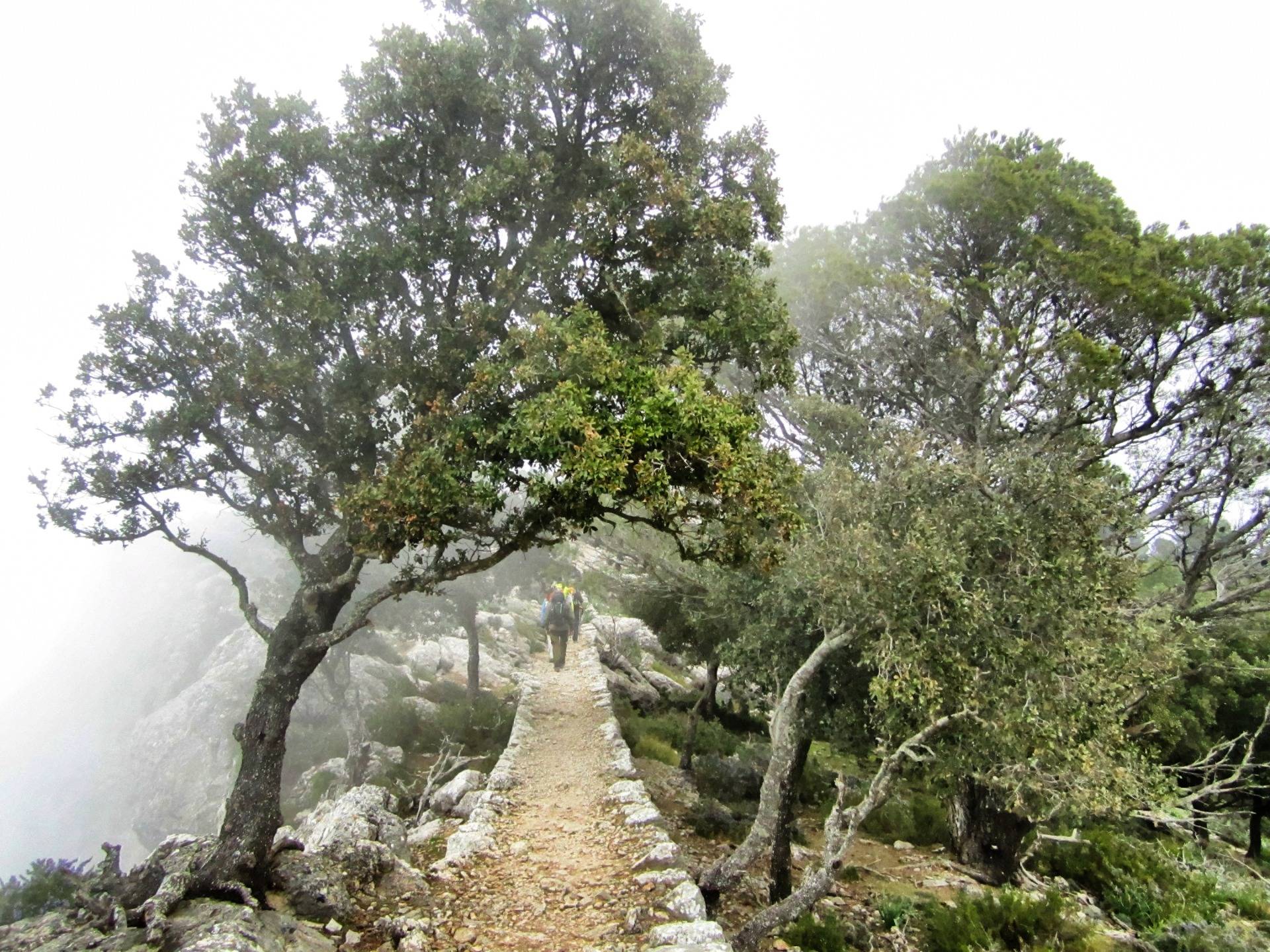 The bridle way of the Tramuntana