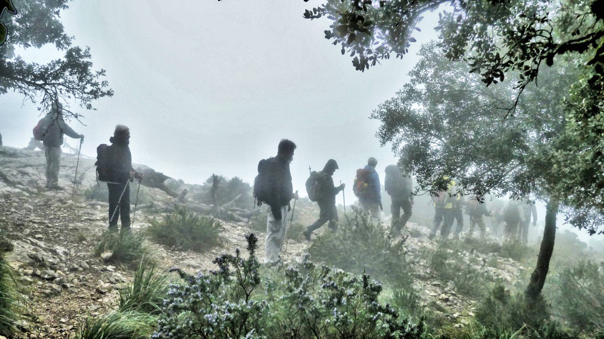 Hiking Mallorca: Into the fog of the bridle path
